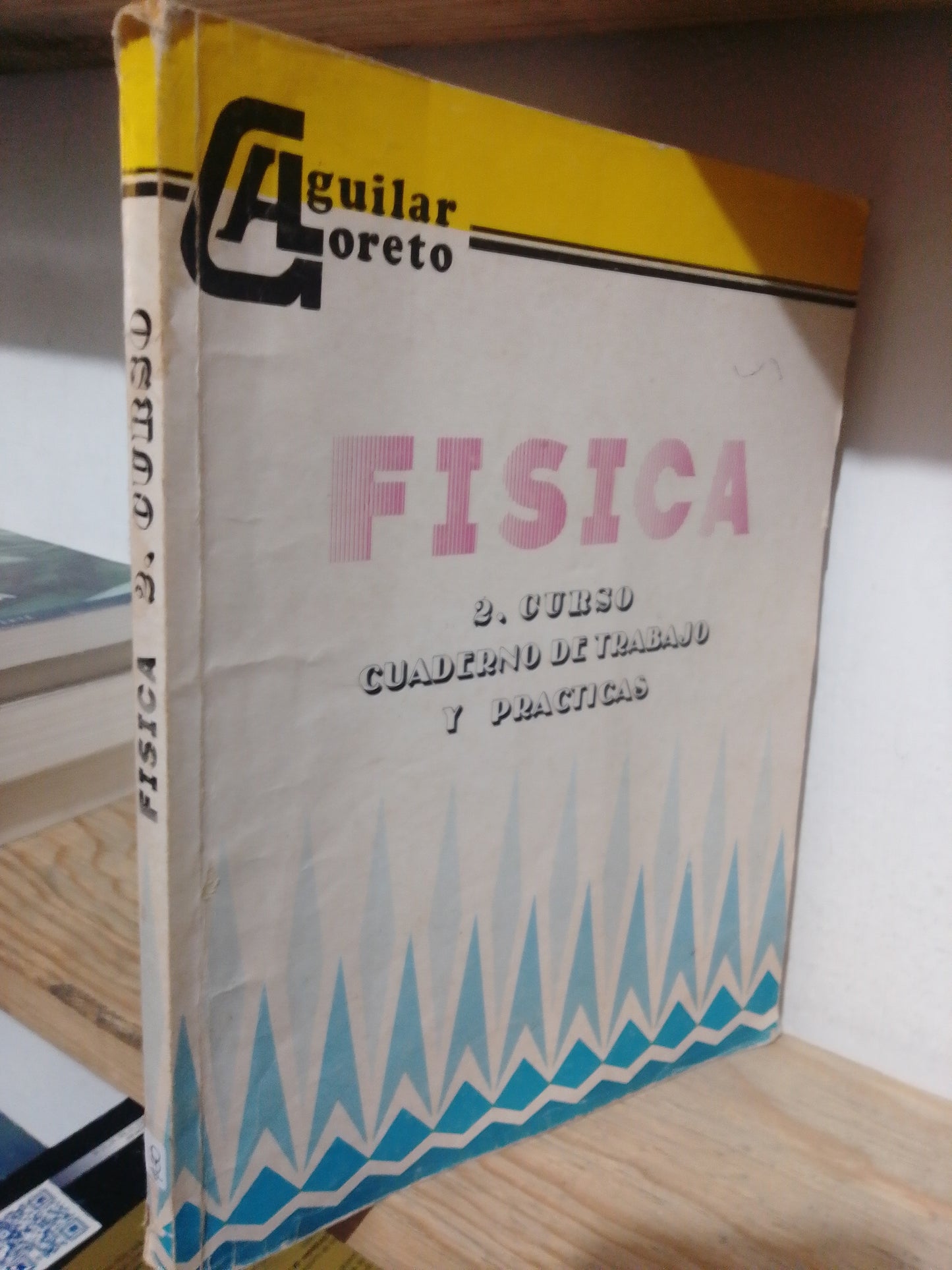 FISICA 2DO CURSO CUADERNO DE TRABAJOS Y PRACTICAS USADO FISICA JUAREZ