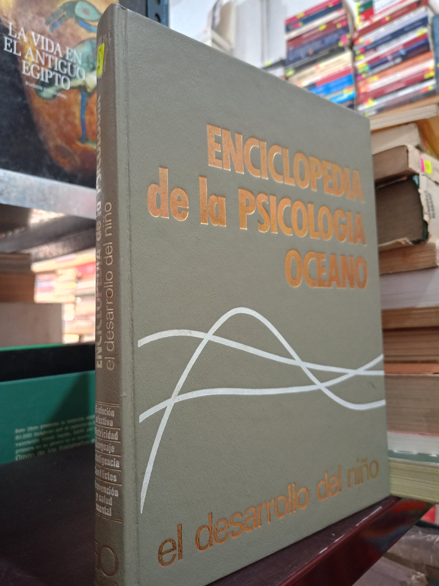 ENCICLOPEDIA DE LA PSICOLOGIA EL DESARROLLO DEL NIÑO USADO PSICOLOGIA LITERARIO 305