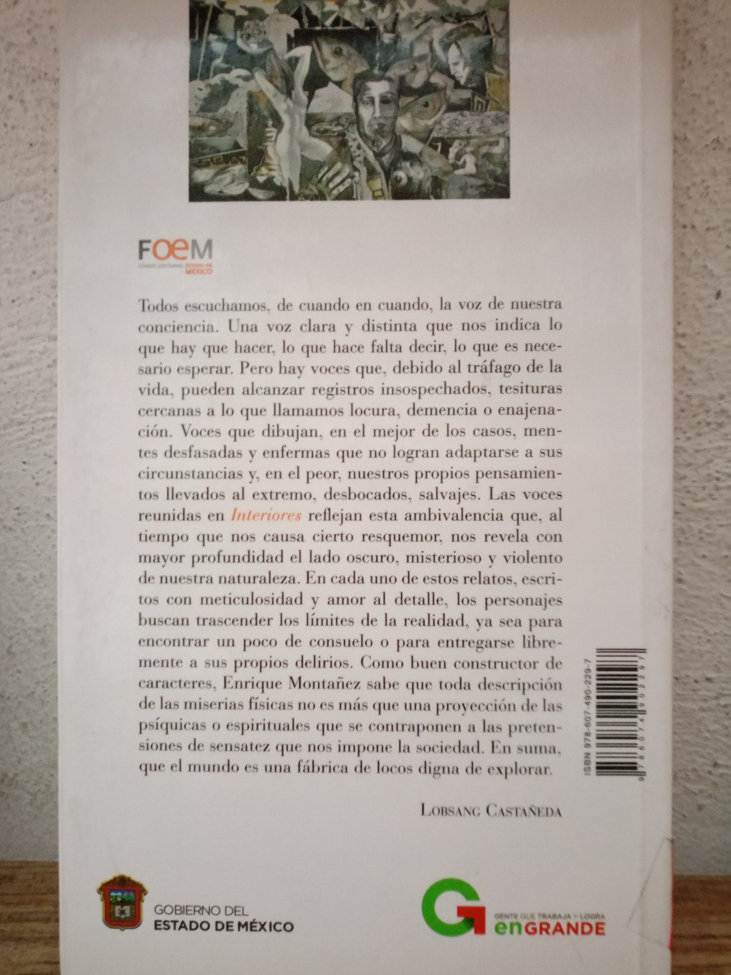 INTERIORES ENRIQUE MONTAÑEZ USADO NOVELA LITERARIO 305