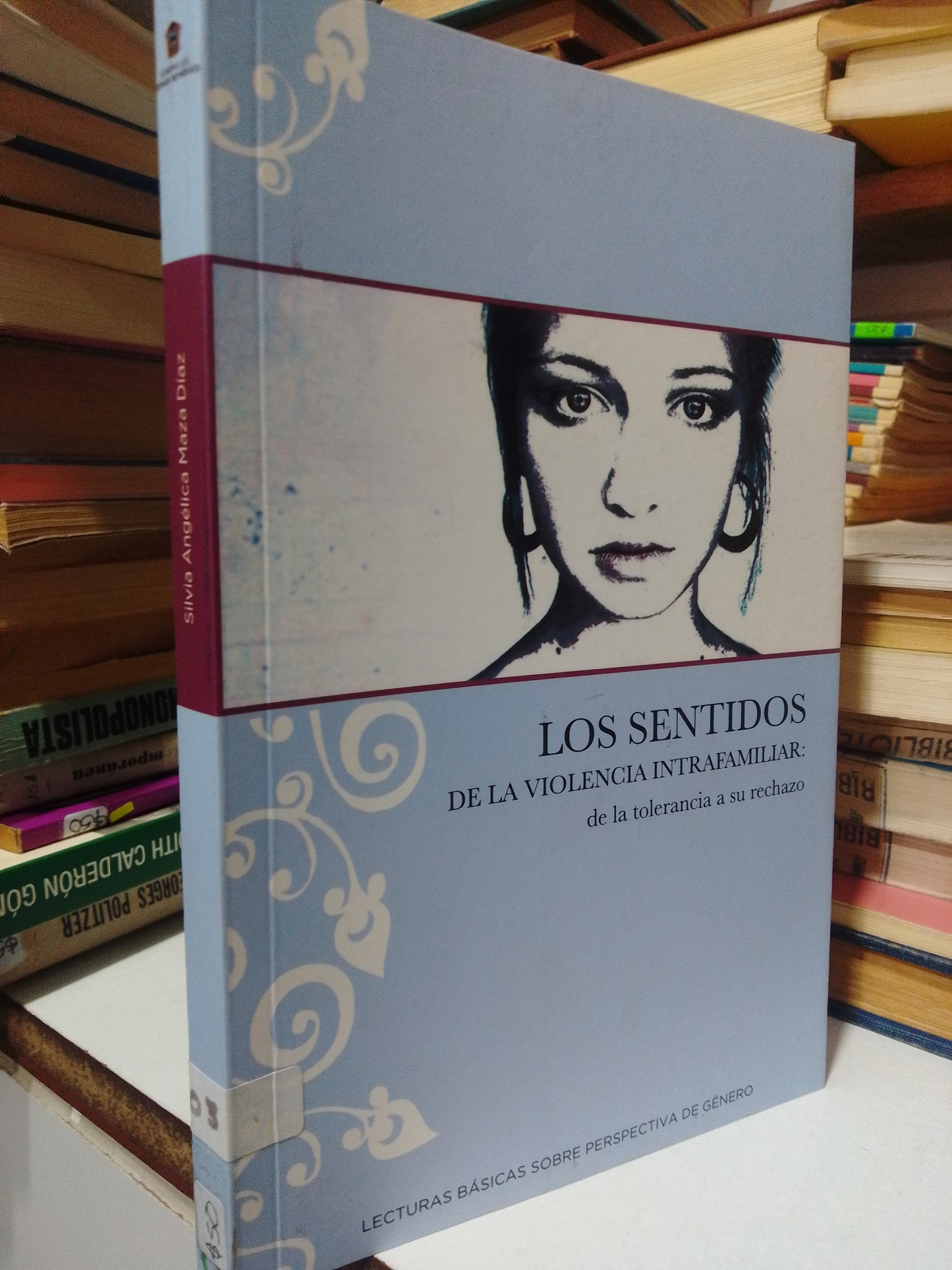 LOS SENTIDOS DE LA VIOLENCIA INTRAFAMILIAR POR SILVIA ANGELICA MAZA USADO FILOSOFIA JUAREZ