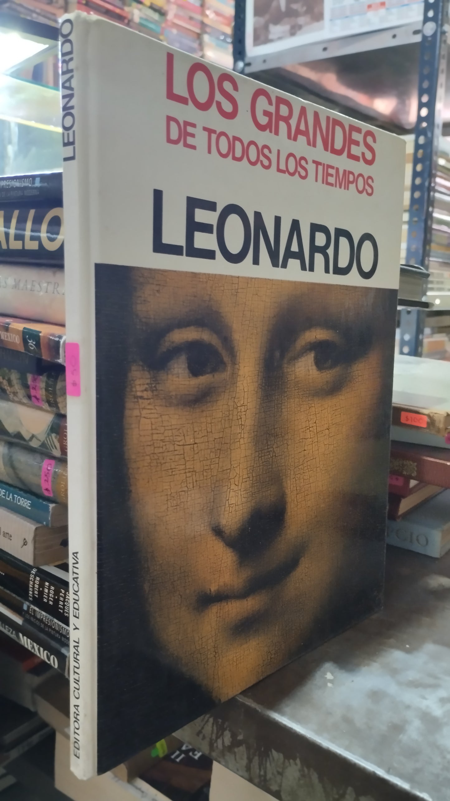 LEONARDO LIBRO USADO ARTE ALDAMA