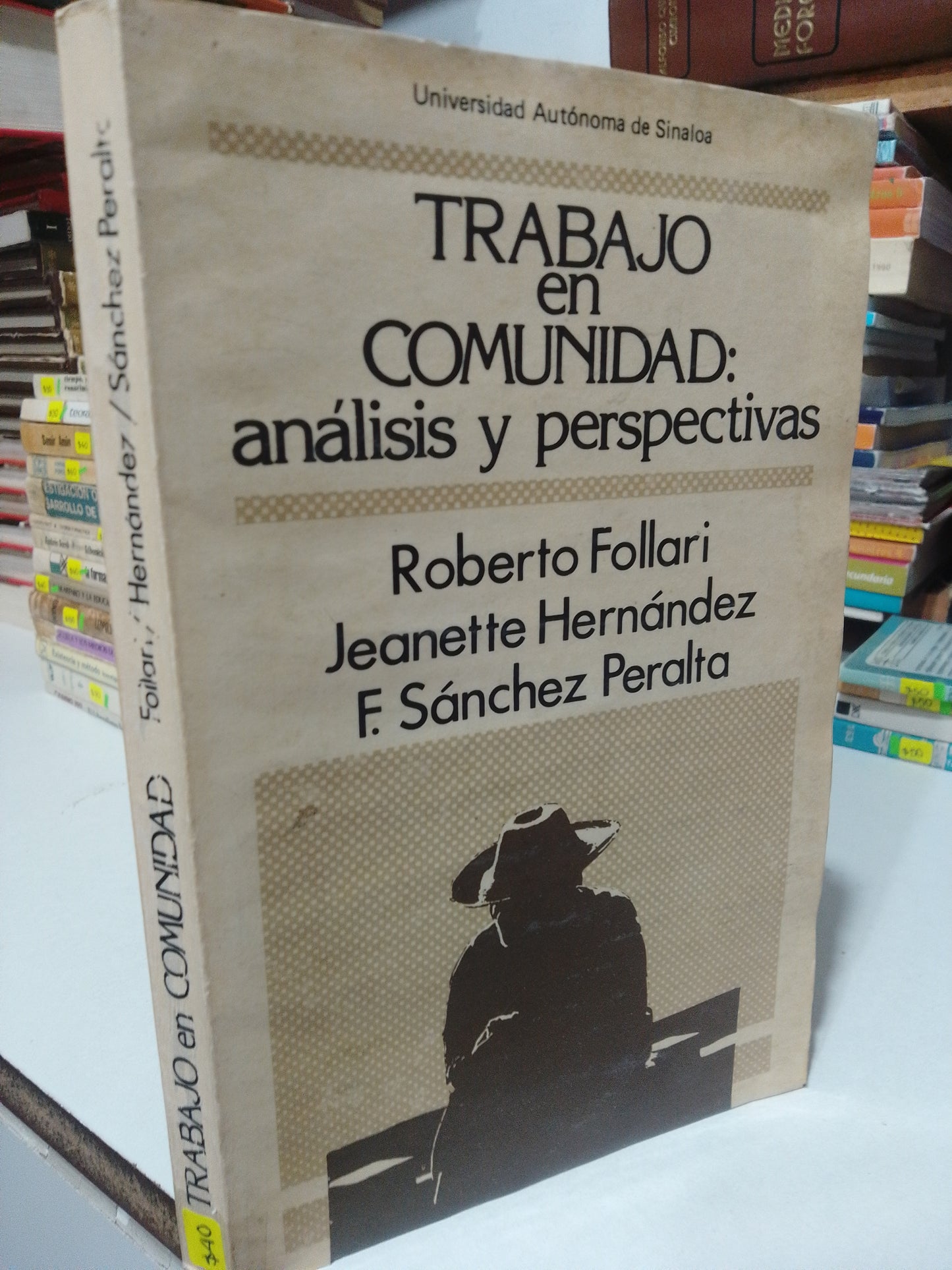TRABAJO EN COMUNIDAD ANALISIS Y PERSPECTIVAS POR ROBERTO FOLLARI VARIOS AUTORES USADO FILOSOFIA JUAREZ