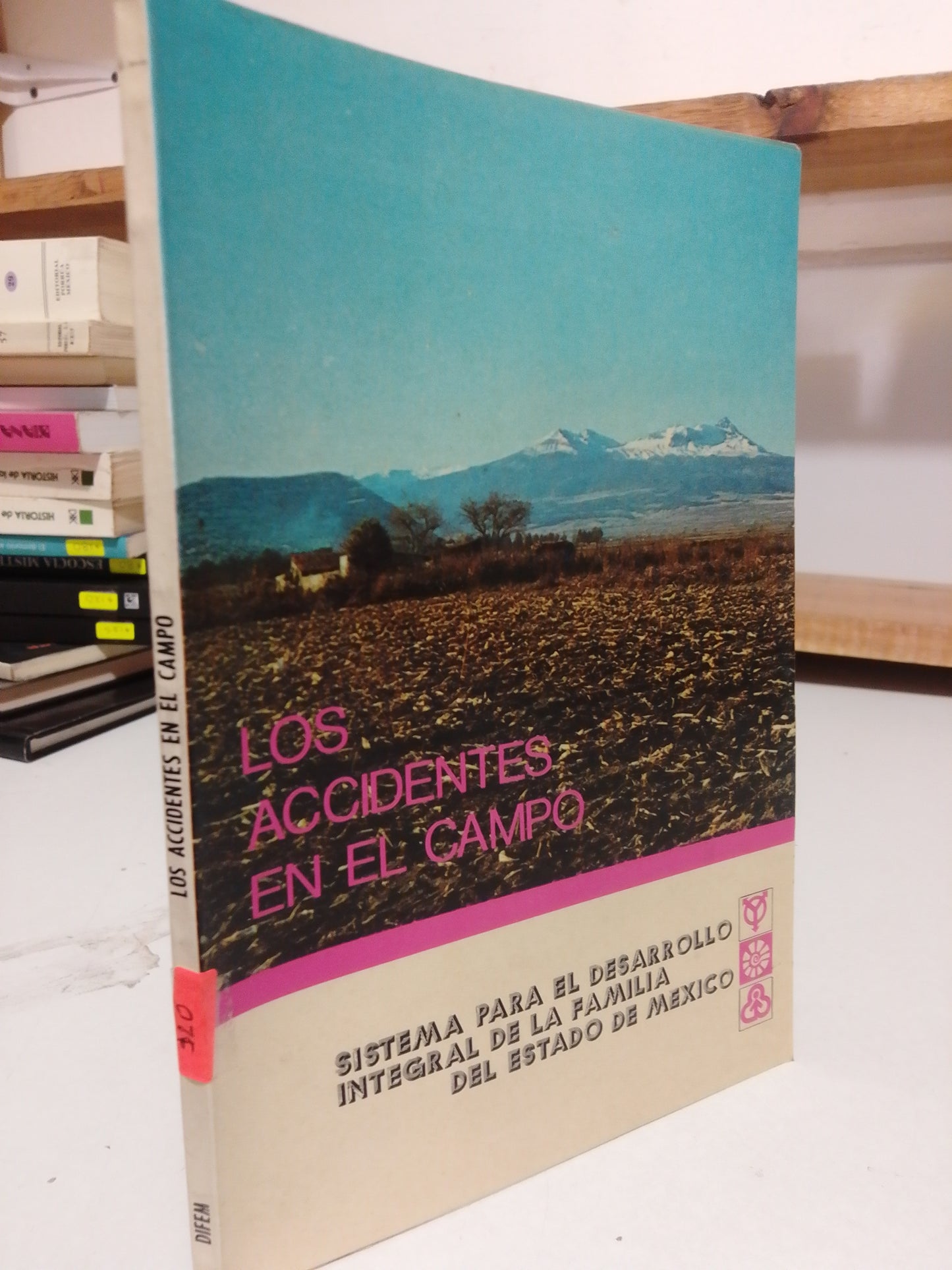 LOS ACCIDENTES EN EL CAMPO SISTEMA PARA EL DESARROLLO INTEGRAL DE LA FAMILIA DEL ESTADO DE MÉXICO USADO HISTORIA JUÁREZ