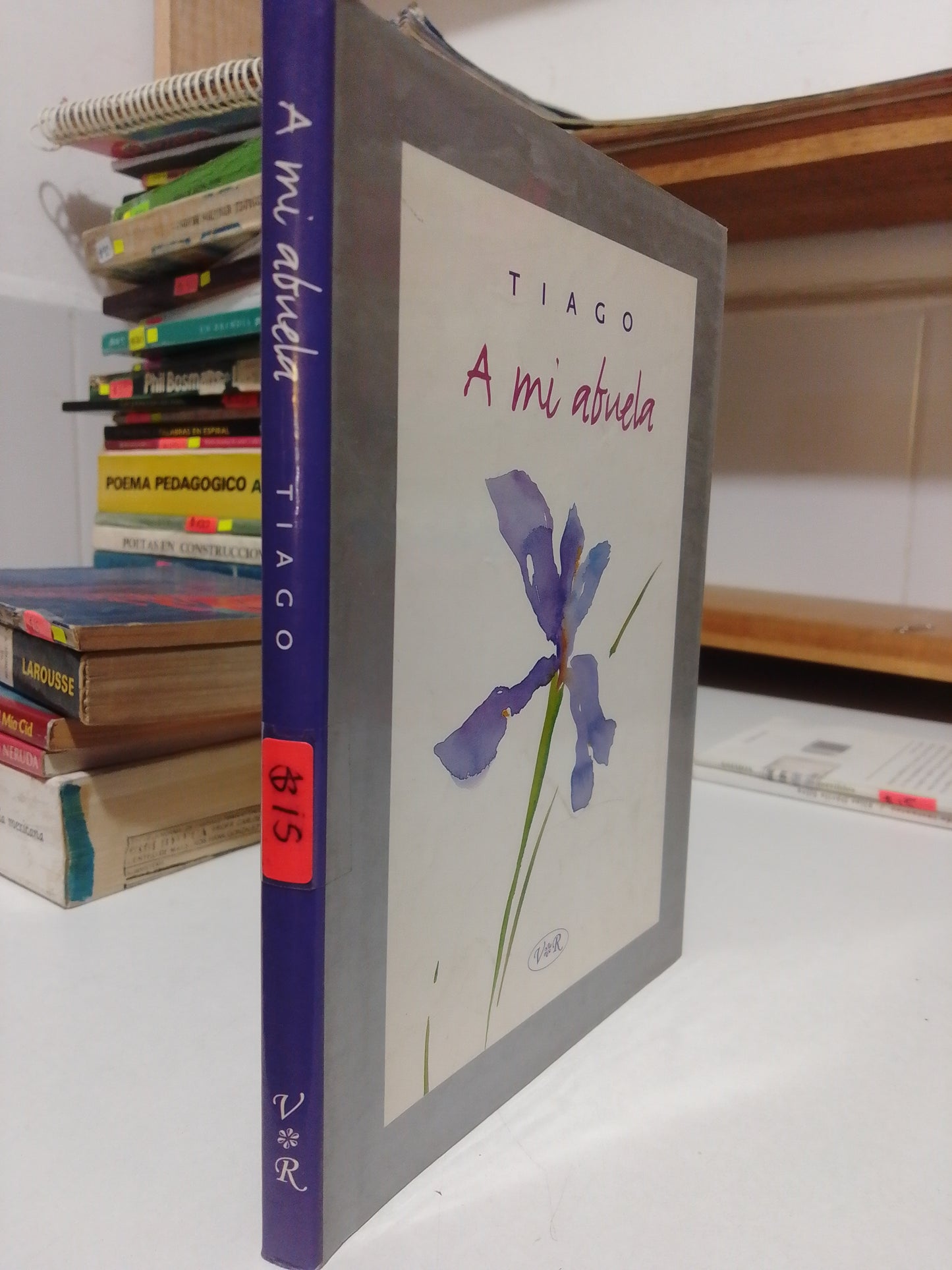 A MI ABUELA POR TIAGO USADO POESIA JUAREZ