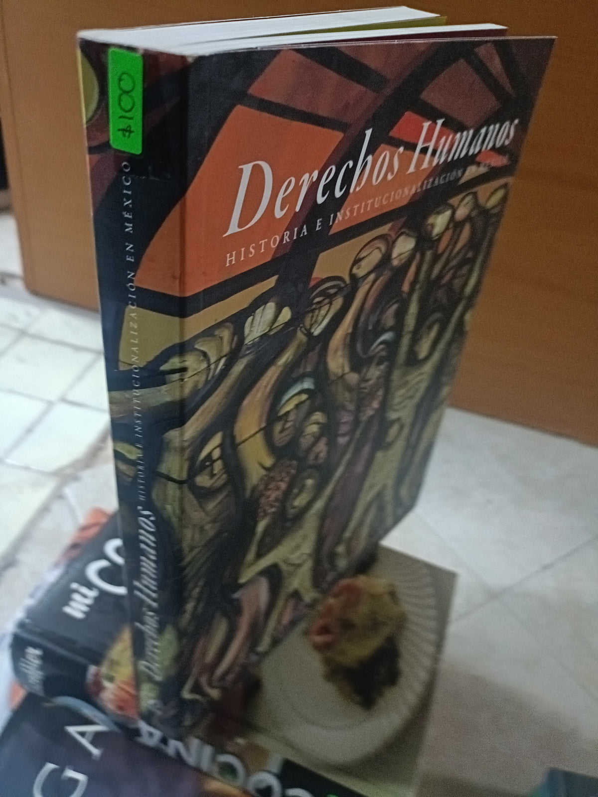 DERECHOS HUMANOS HISTORIA E INSTITUCIONALIZACION EN MEXICO USADO ARTE JUAREZ 515