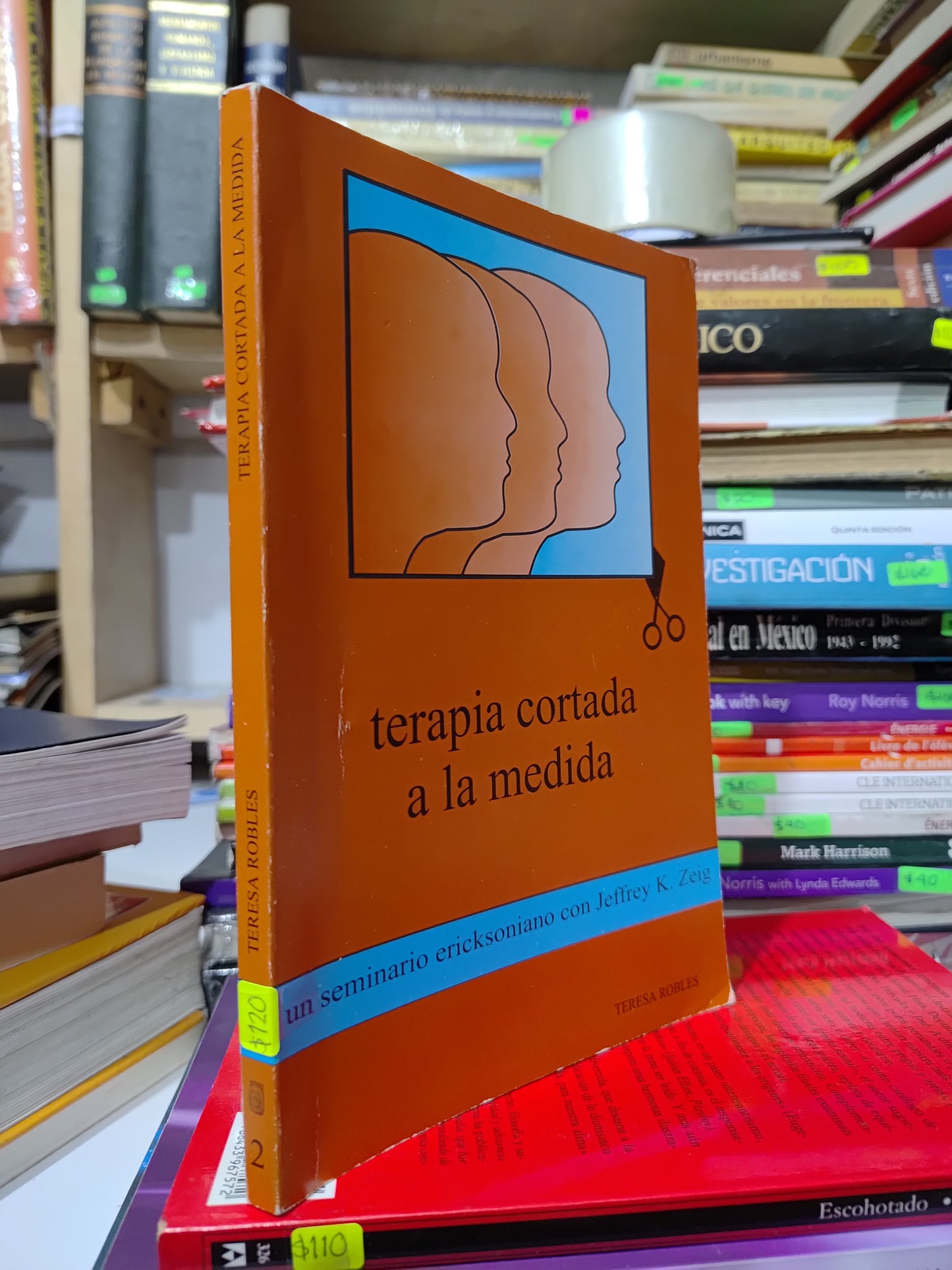 TERAPIA CORTADA A LA MEDIDA POR TERESA ROBLES USADO PSICOLOGIA JUAREZ 507
