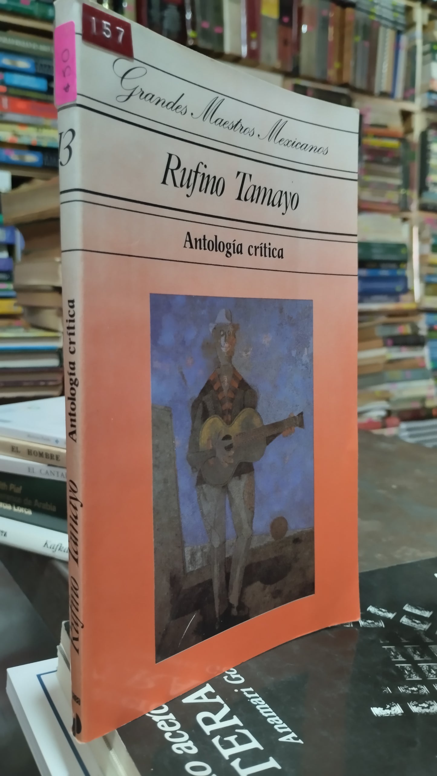 RUFINO TAMAYO POR ANTOLOGIA CRITICA LIBRO USADO NOVELAS ALDAMA