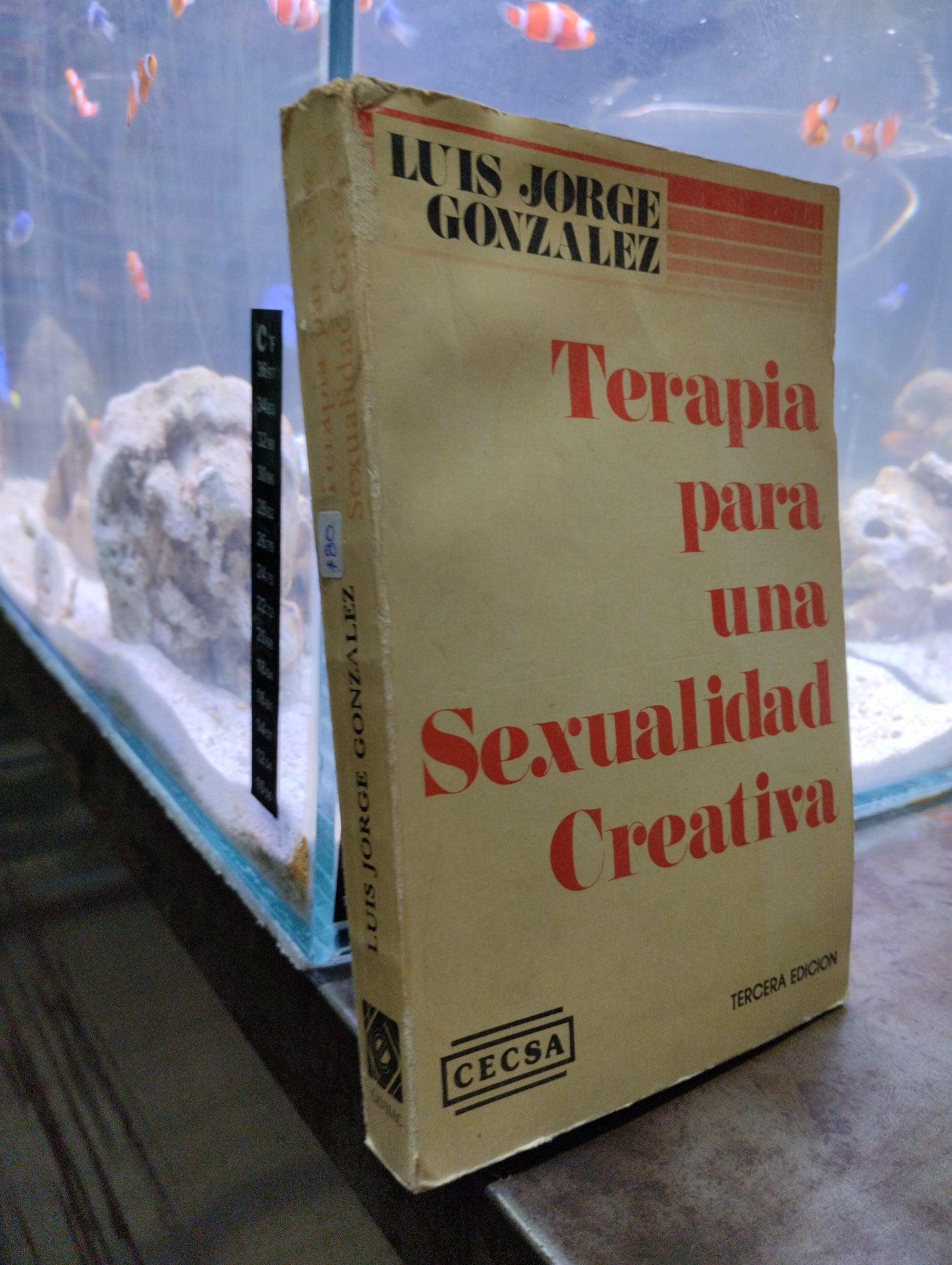 TERAPIA PARA UNA SEXUALIDAD CREATIVA POR LUIS JORGE GONZALEZ USADO PSICOLOGÍA ALDAMA