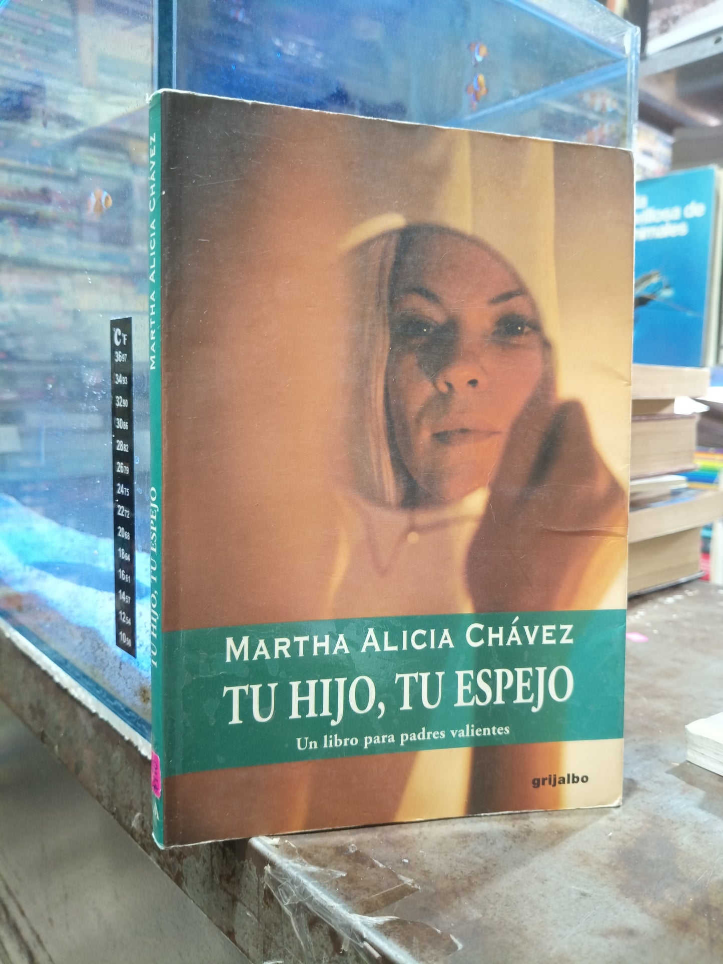 TU HIJO TU ESPEJO POR MARTHA ALICIA CHAVEZ USADO SUPERACIÓN PERSONAL ALDAMA
