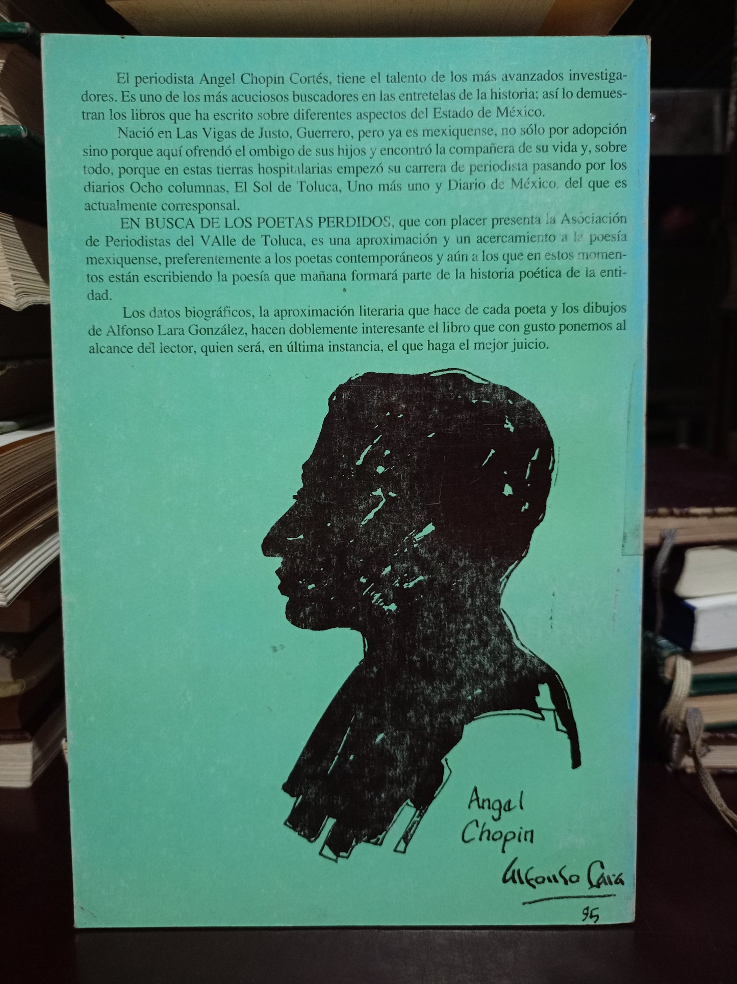 EN BUSCA DE LOS POETAS PERDIDOS POR ANGEL CHOPÍN CORTÉS USADO NOVELA LITERARIO 305