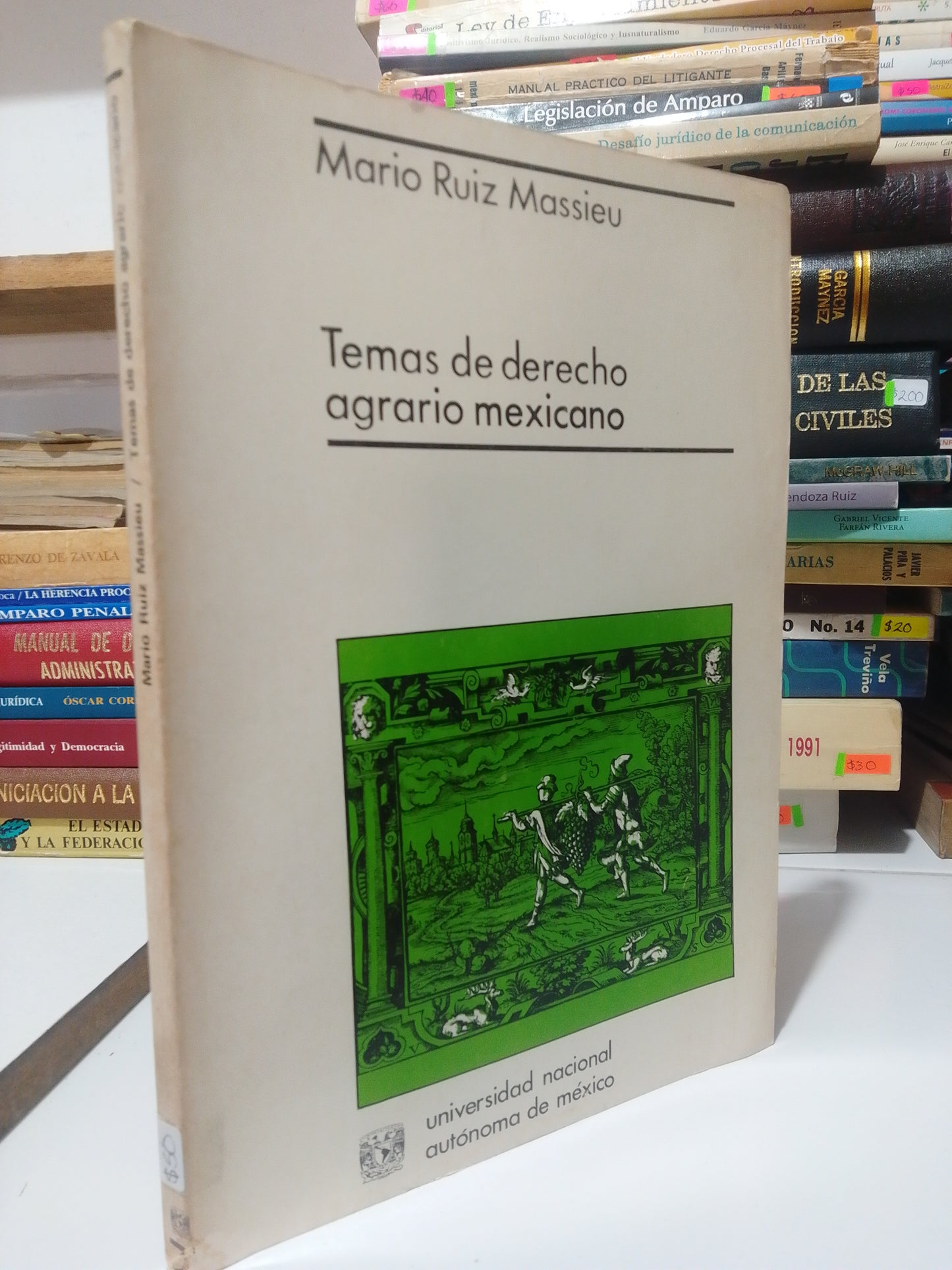 TEMAS DE DERECHO AGRARIO MEXICANO POR MARIO RUIZ MASSIEU USADO DERECHO JUÁREZ