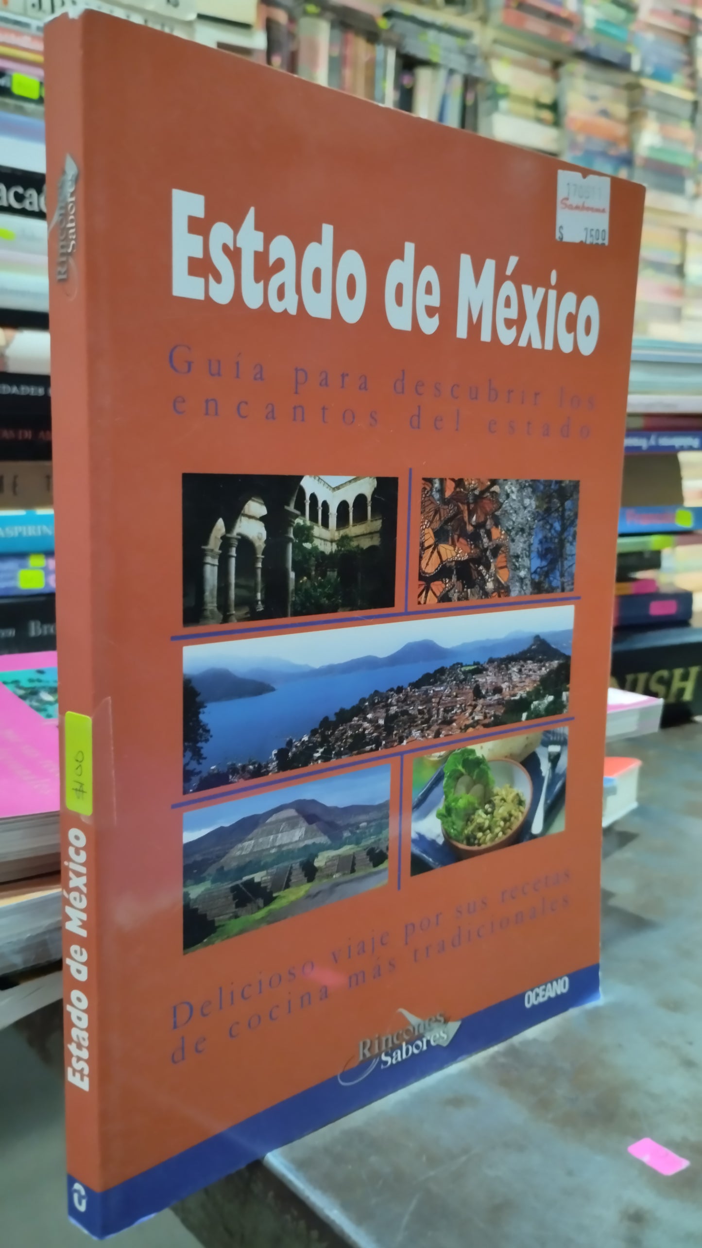 ESTADO DE MEXICO LIBRO USADO GEOGRAFIA ALDAMA