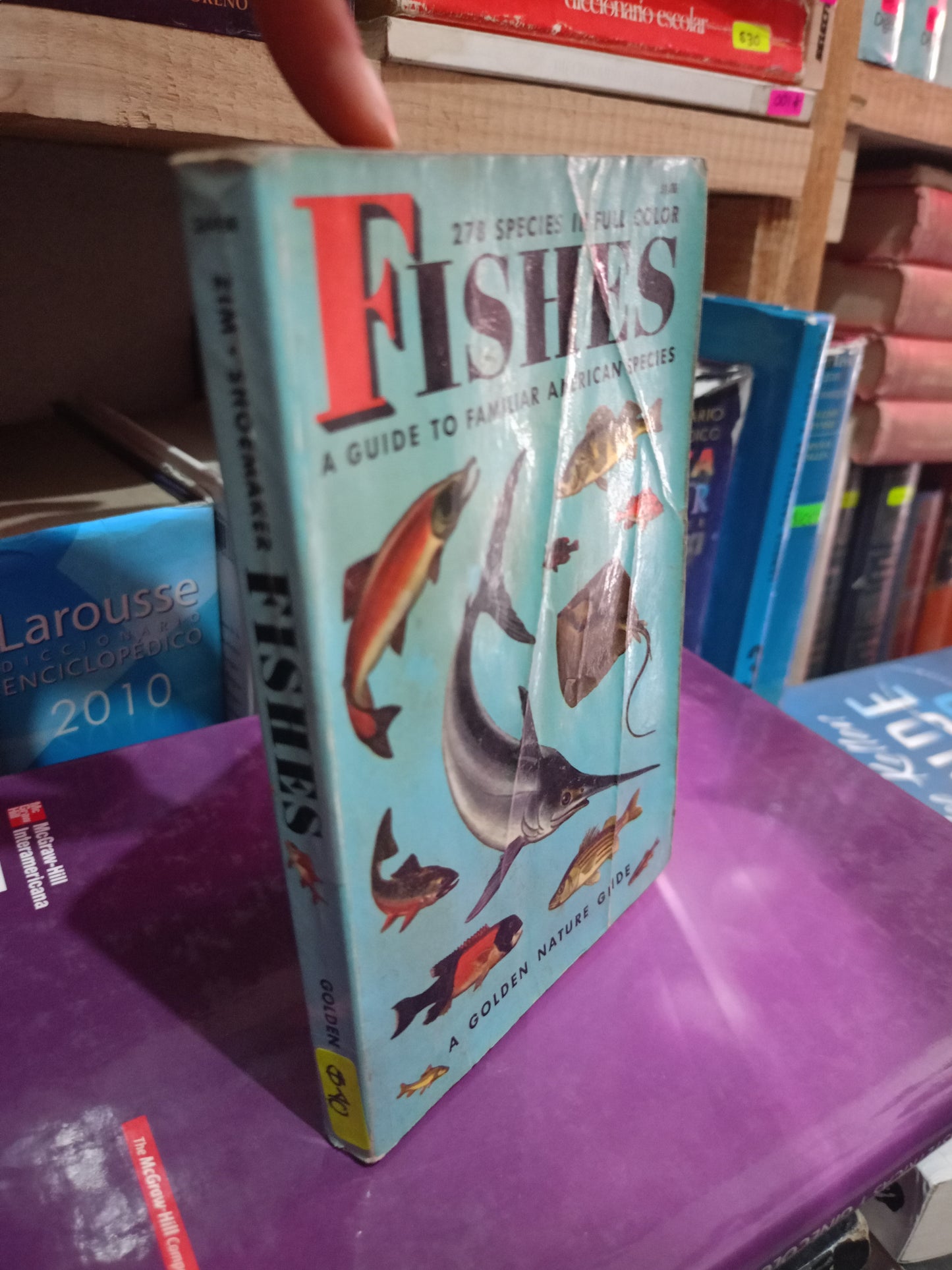 FISHES A GUIDE TO FAMILIAR AMERICAN SPECIES USADO ANIMALES LITERARIO 305