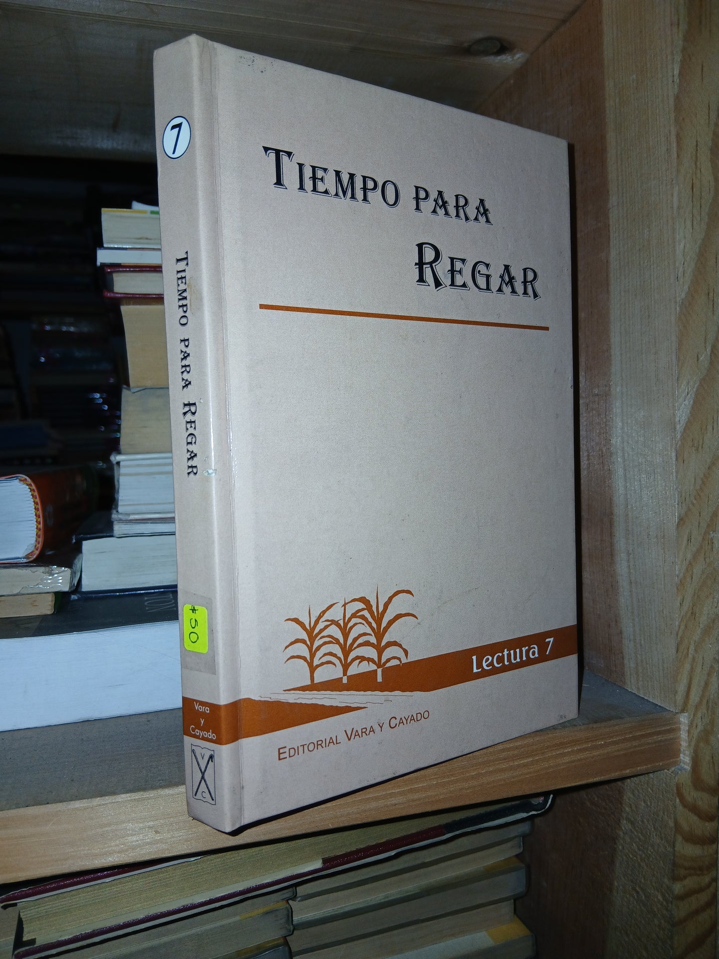 TIEMPO PARA REGAR DIRIGIDO POR ROBERTO ZIMMERMAN USADO RELIGIÓN LITERARIO 207