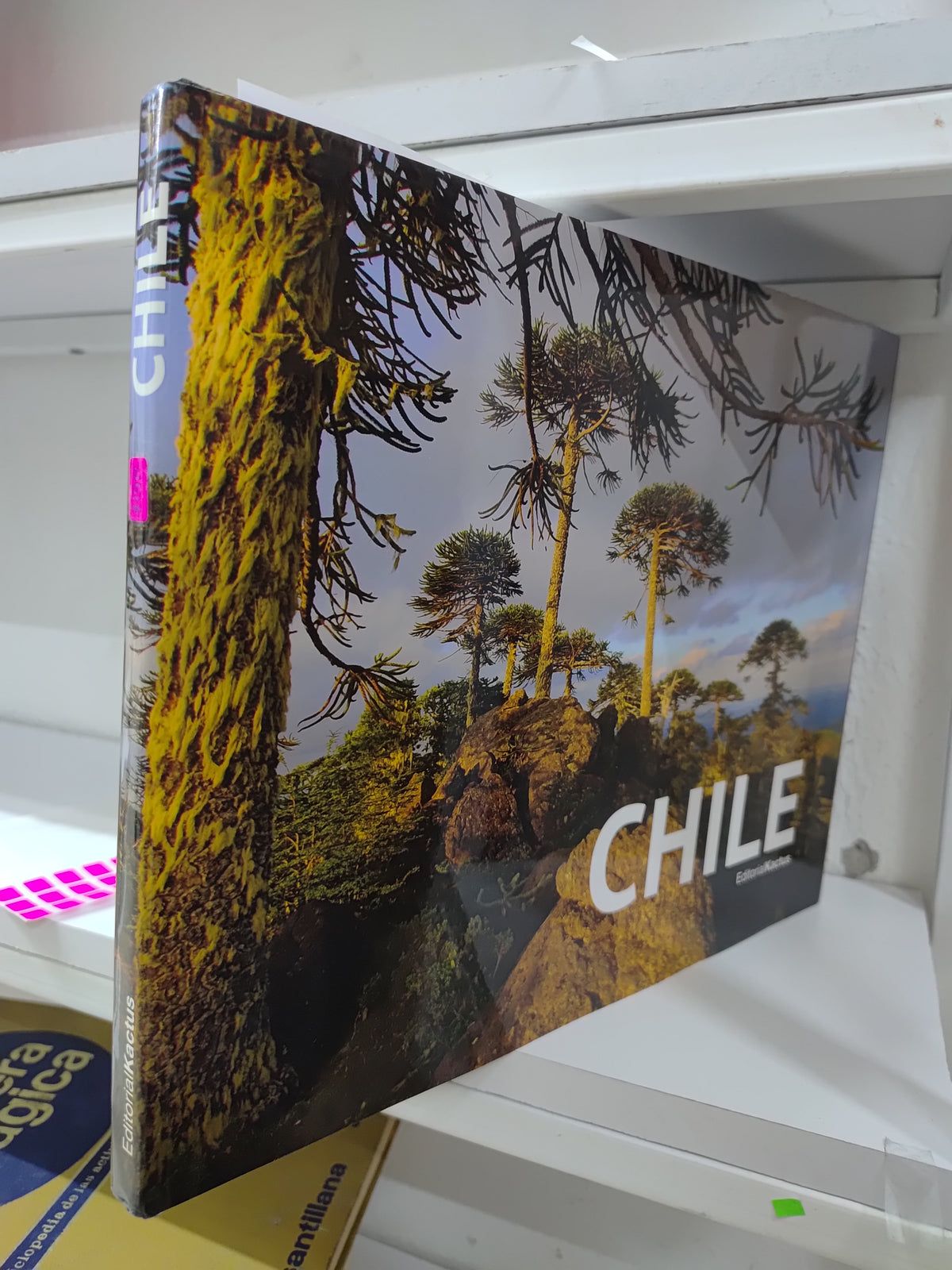 CHILE POR EDITORIAL KACTUS USADO ARTES JUAREZ 515