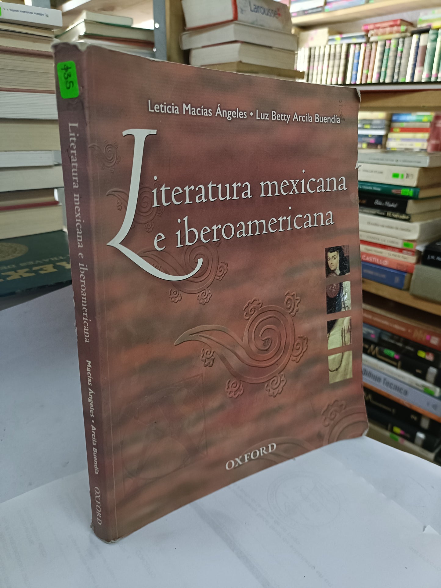 LITERATURA MEXICANA E IBEROAMERICANA POR LETICIA MACIAS ANGELES USADO NOVELA LITERARIO 207