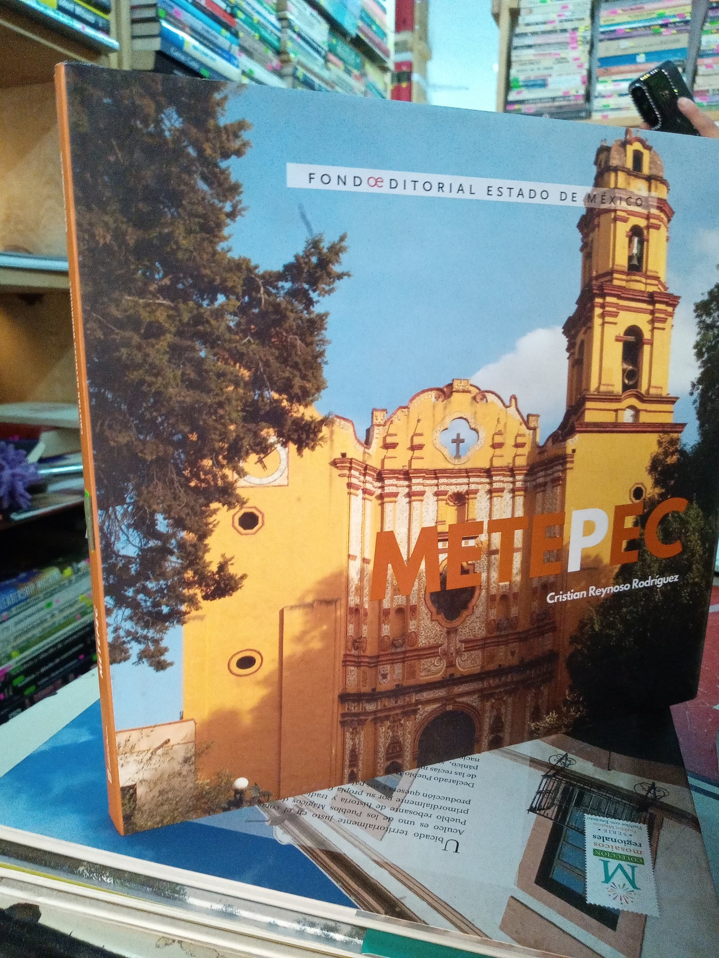 METEPEC POR CRISTIAN REYNOSO RODRIGUEZ USADO TURISMO LITERARIO 207