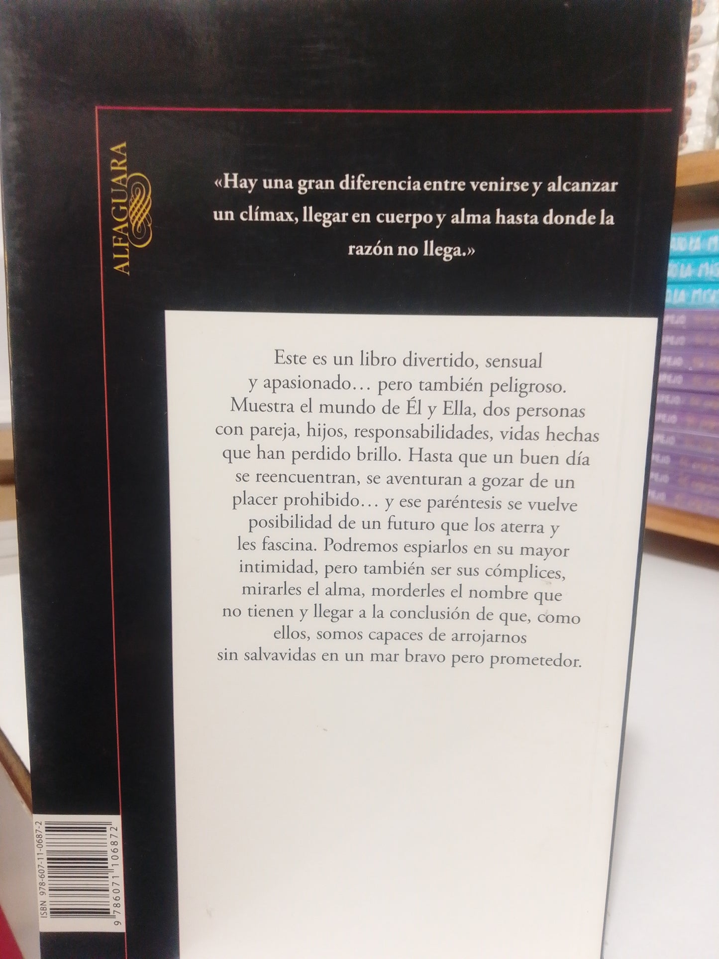 AMORES ADULTEROS POR BEATRIZ RIVAS USADO NOVELA JUAREZ