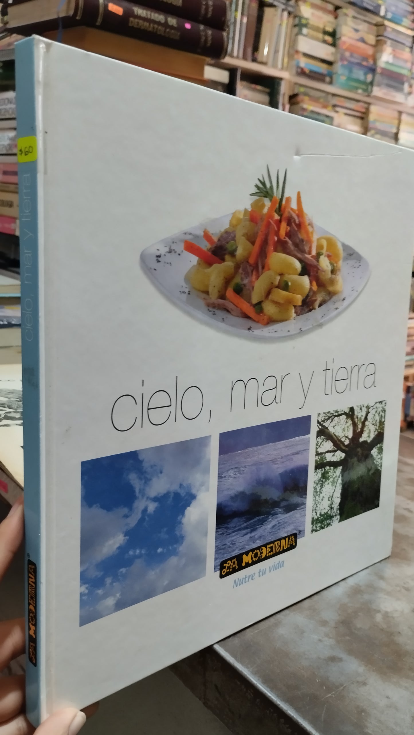 CIELO MAR Y TIERRA LIBRO USADO COCINA ALDAMA