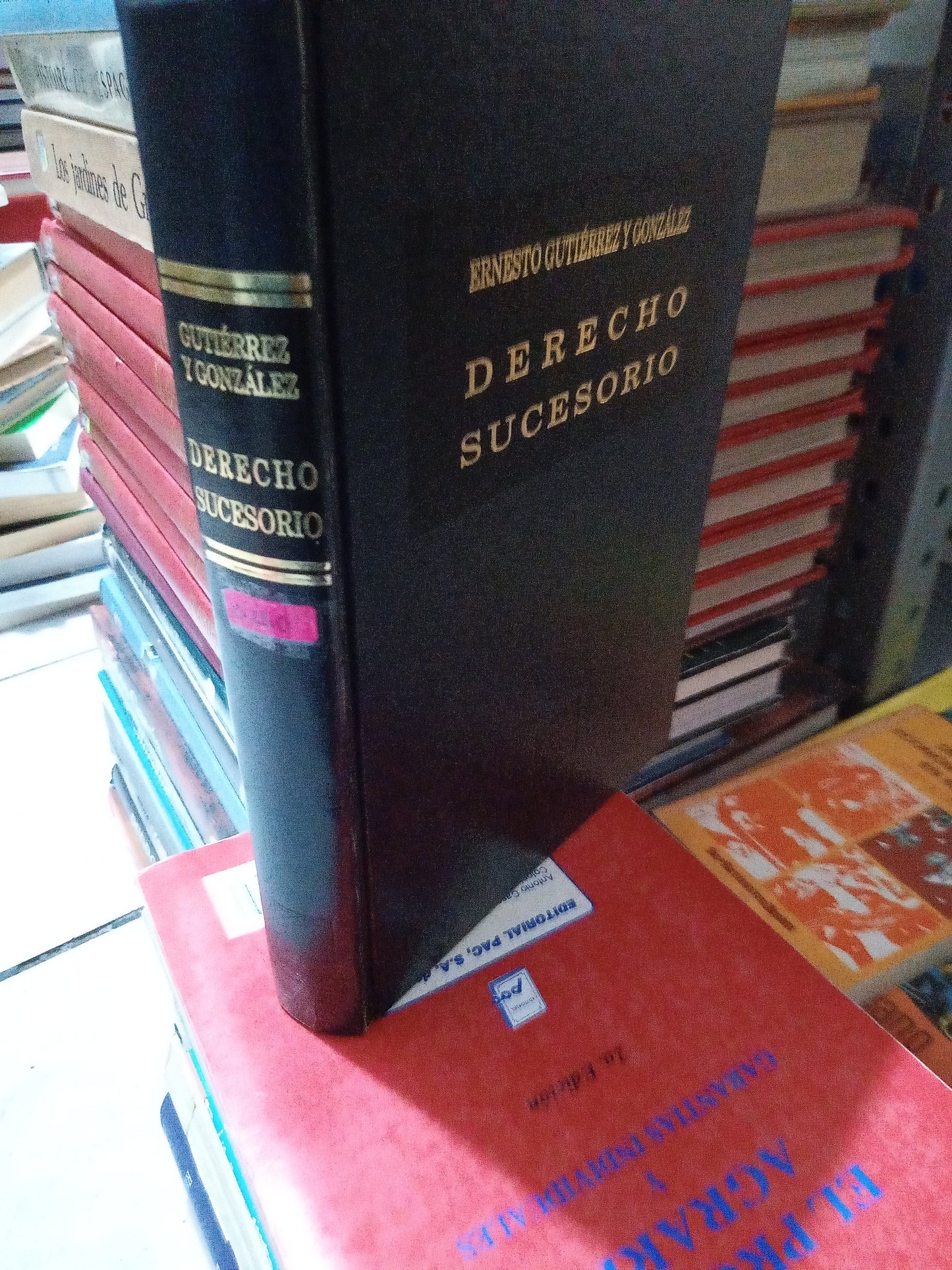 DERECHO SUCESORIO POR ERNESTO GUTERREZ Y GONZÁLEZ USADO DERECHO JUÁREZ