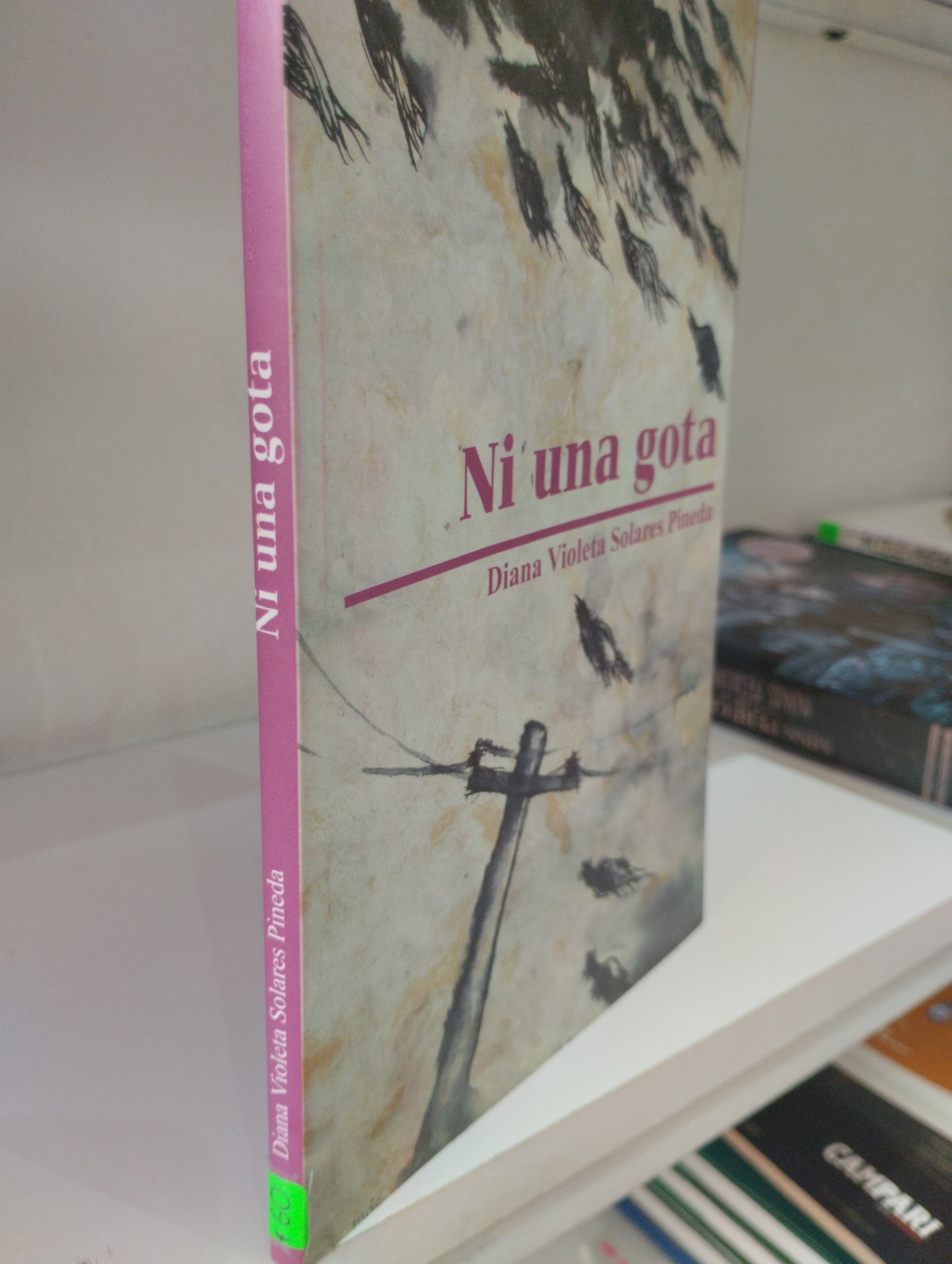 NI UNA GOTA DIANA VIOLETA SOLARES PINEDA USADO NOVELAS JUAREZ 515