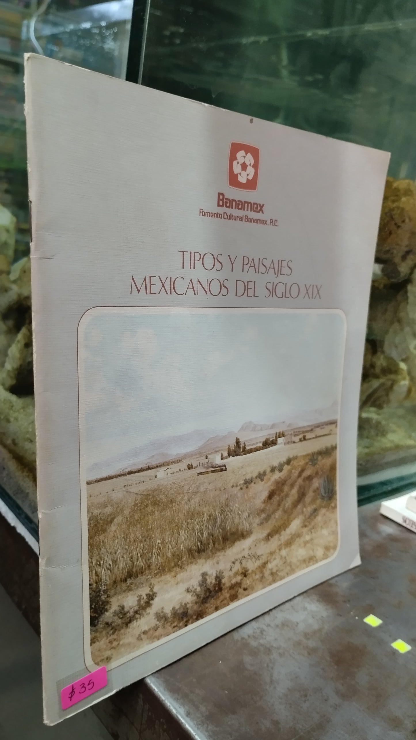 TIPOS Y PAISAJES MEXICANOS DEL SIGLO XIX LIBRO USADO ARTE ALDAMA