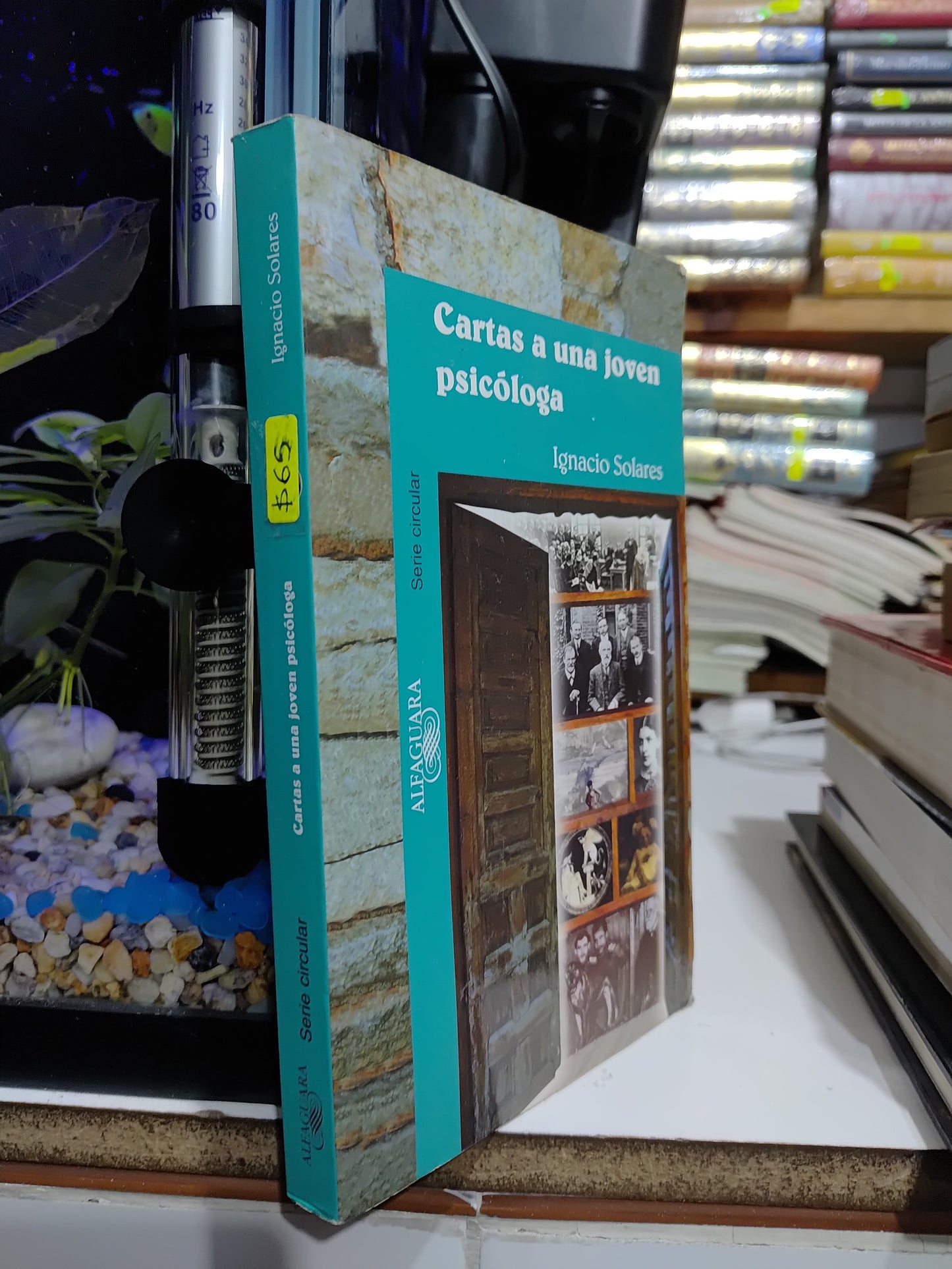CARTAS A UNA JOVEN PSICOLOGA POR IGNACIO SOLARES USADO NOVELAS JUAREZ