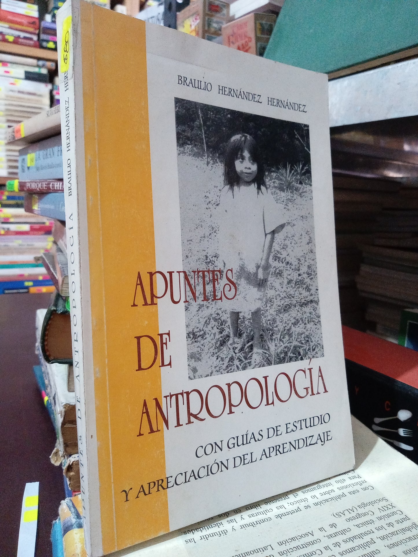 APUNTES DE ANTROPOLOGIA POR BRAULIO HERNANDEZ HERNANDEZ USADO HISTORIA LITERARIO 305