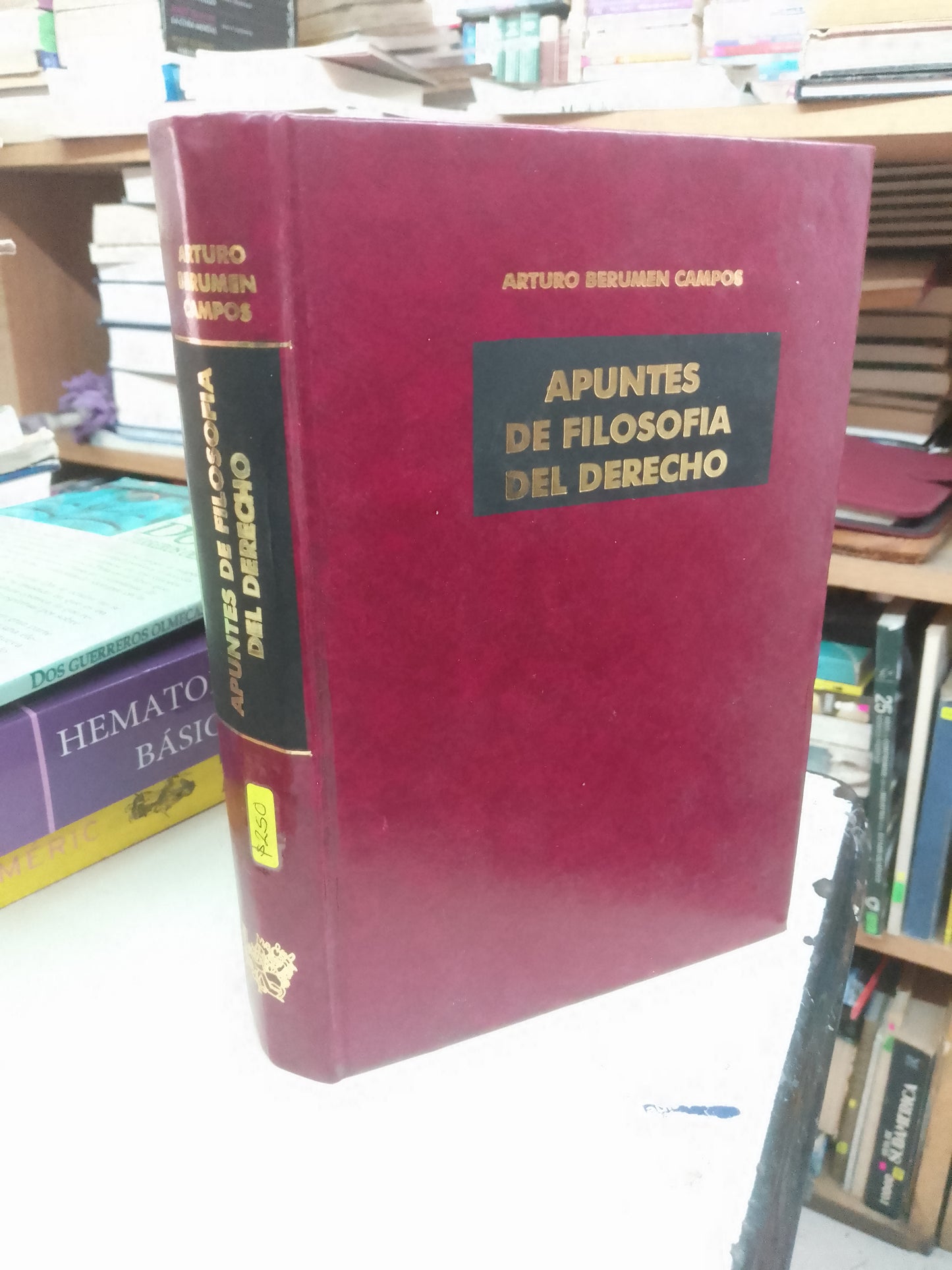 APUNTES DE FILOSOFÍA DEL DERECHO POR ARTURO BERUMEN CAMPOS USADO DERECHO LITERARIO 207