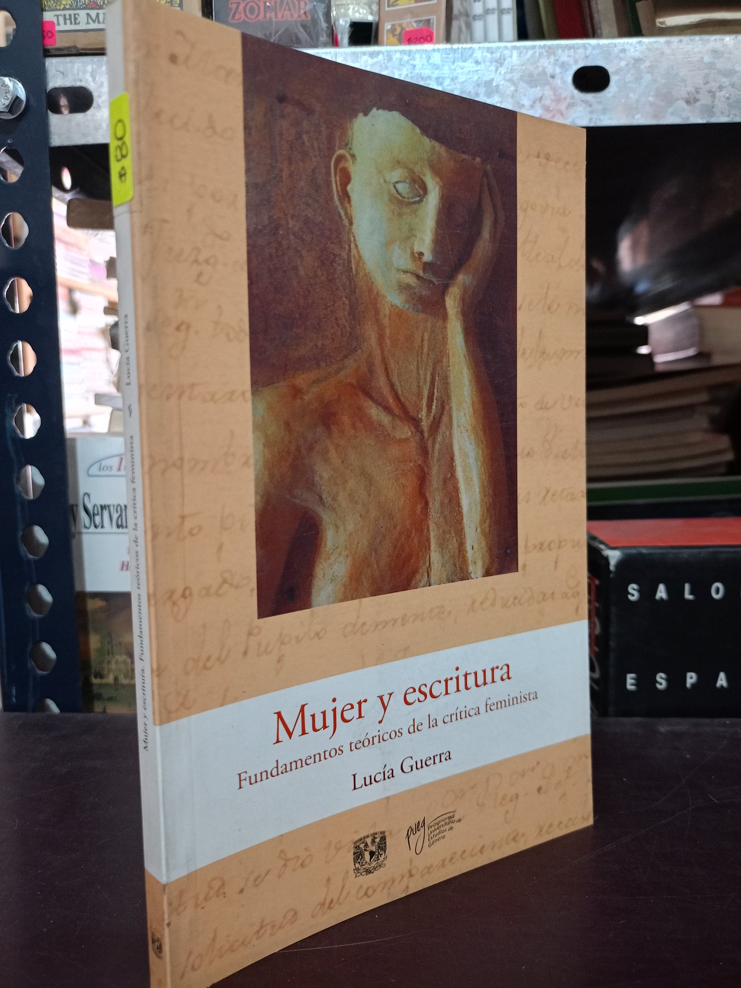 MUJER Y ESCRITURA FUNDAMENTOS TEÓRICOS DE LA CRÍTICA FEMINISTA POR LUCÍA GUERRA USADO HISTORIA LITERARIA 305