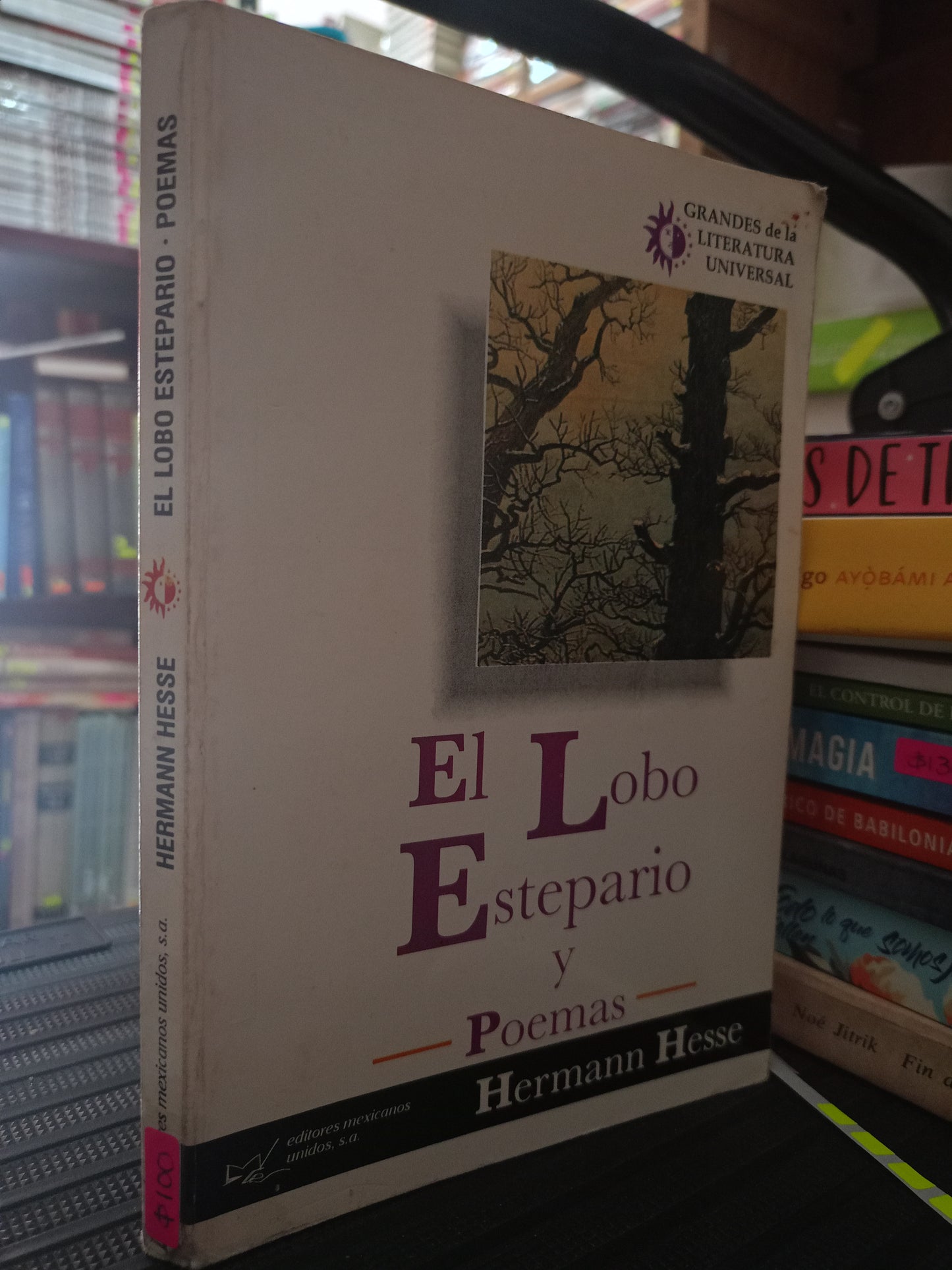 EL LOBO ESTEPARIO Y POEMAS POR HERMANN HESSE USADO NOVELA LITERARIO 305
