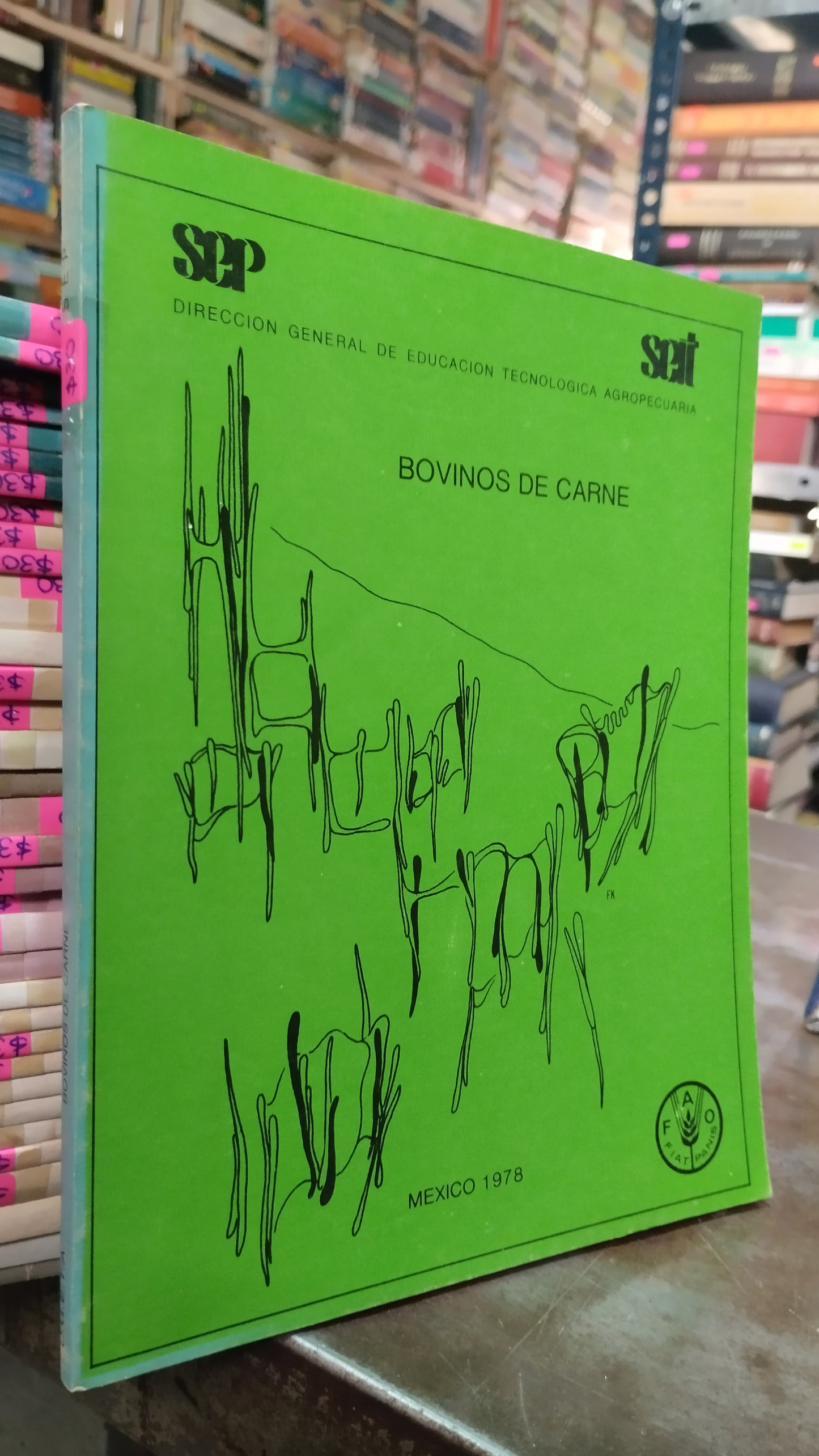 BOVINOS DE CARNE LIBRO USADO AGRICULTURA ALDAMA