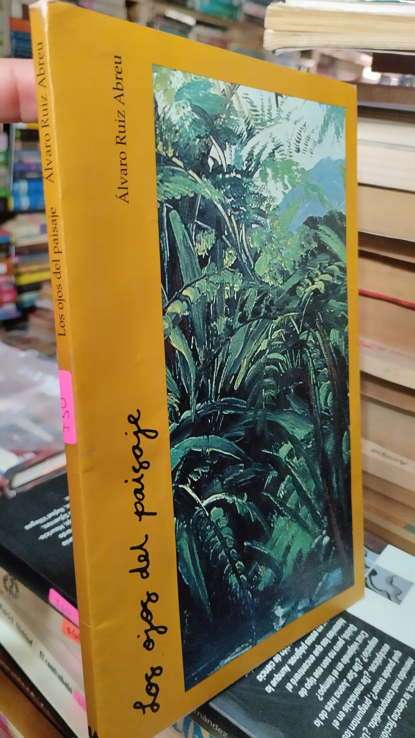 LOS OJOS DEL PAISAJE POR ALVARO RUIZ ABREU LIBRO USADO NOVELAS ALDAMA