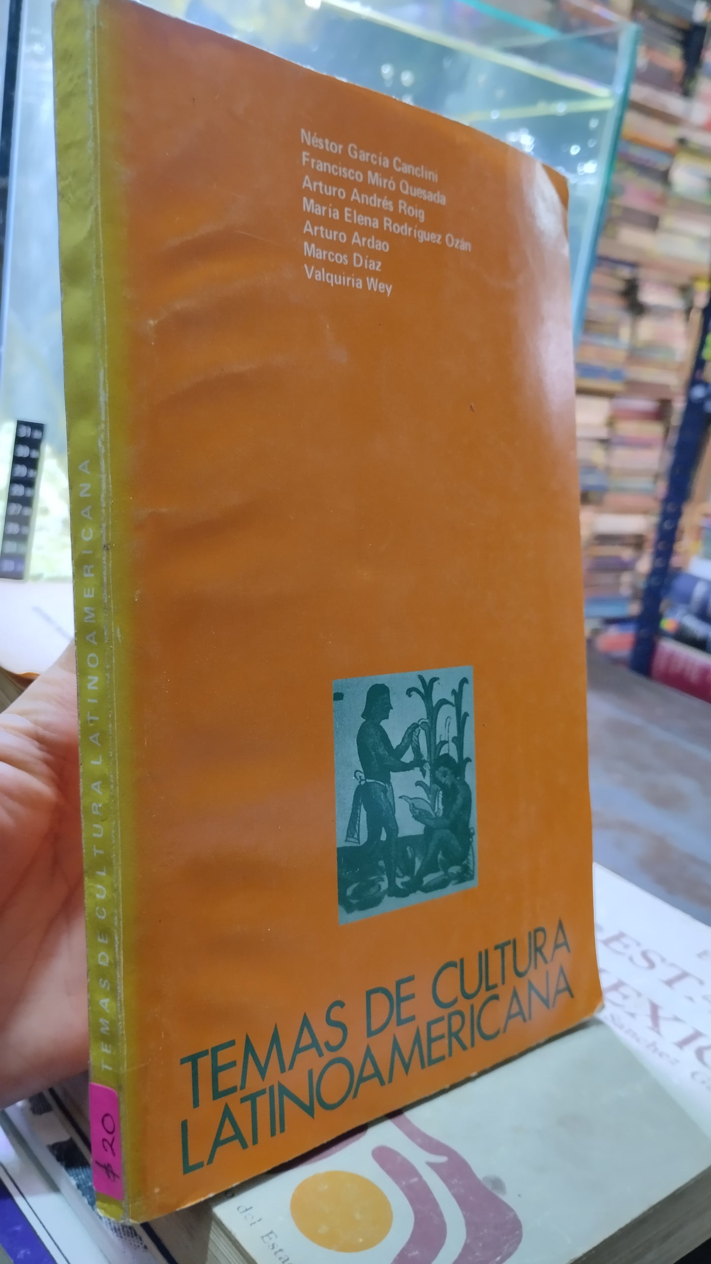 TEMAS DE CULTURA LATINOAMERICANA PIR NESTOR GARCIA CANCLINI LIBRO USADO HISTORIA Y