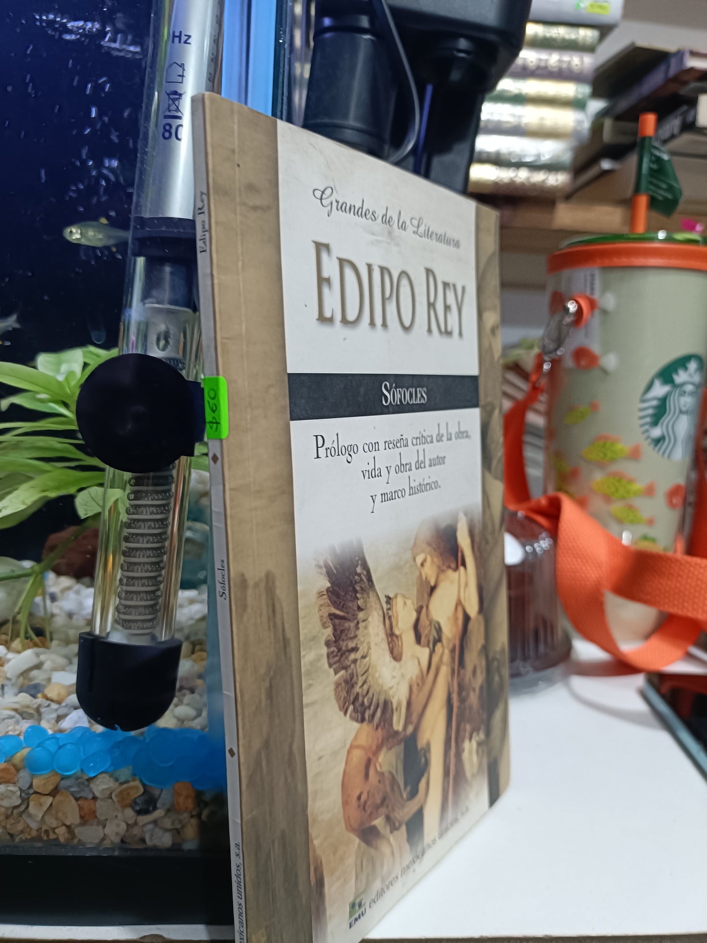 SOFOCLES POR EDIPO REY USADO NOVELA JUAREZ