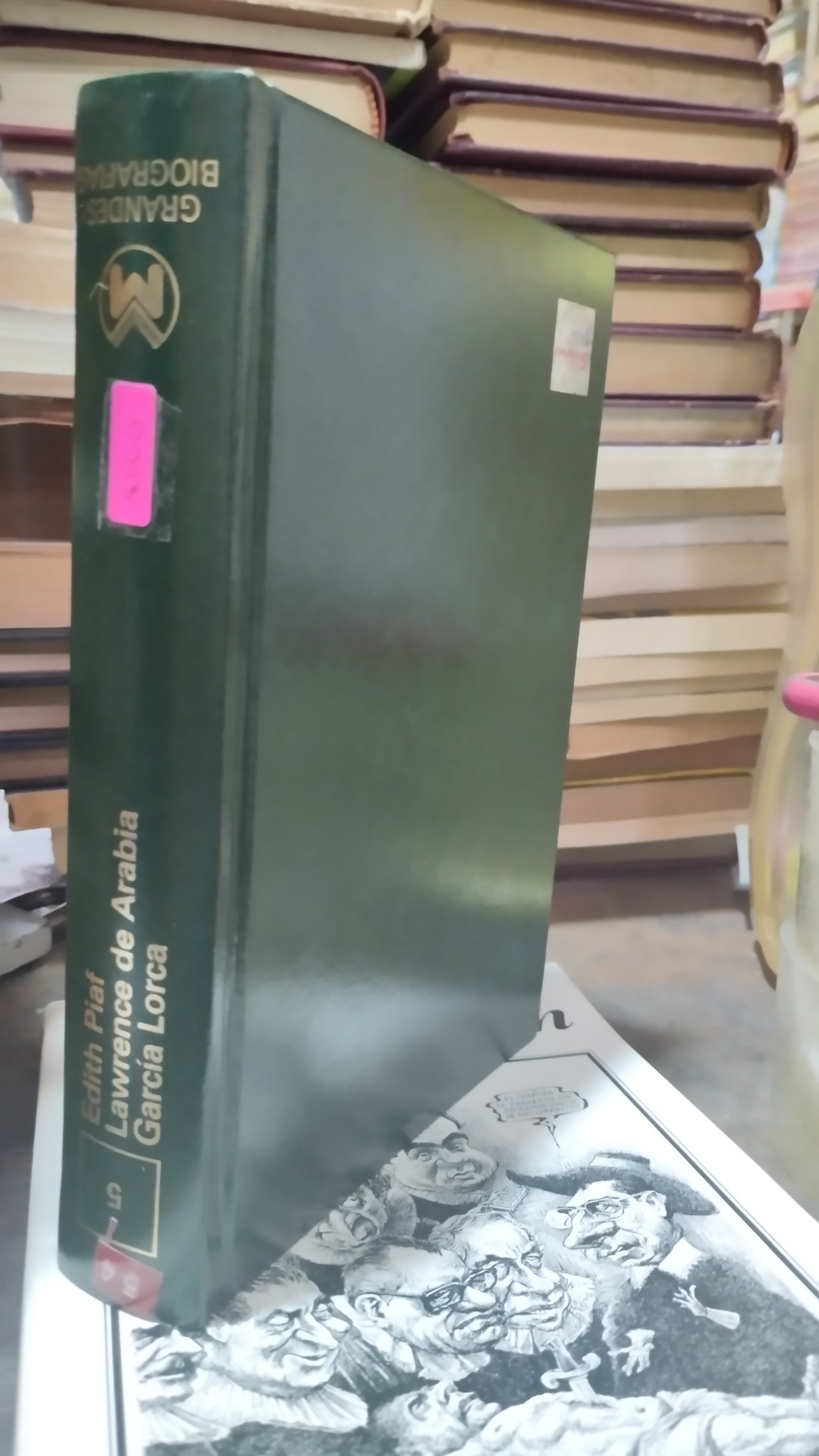 LOS REVOLUCIONARIOS DEL SIGLO XX POR FEDERICO GARCIA LORCA LIBRO USADO NOVELAS ALDAMA