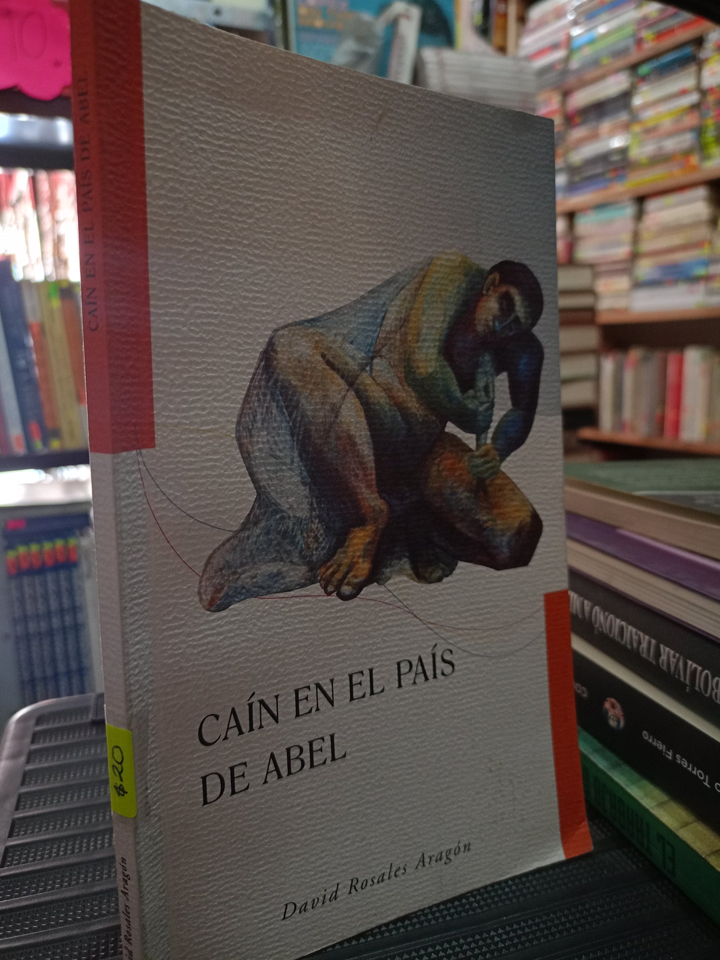 CAIN EN EL PAIS DE ABEL POR DAVID ROSALES ARAGON USADO NOVELA LITERARIO 305