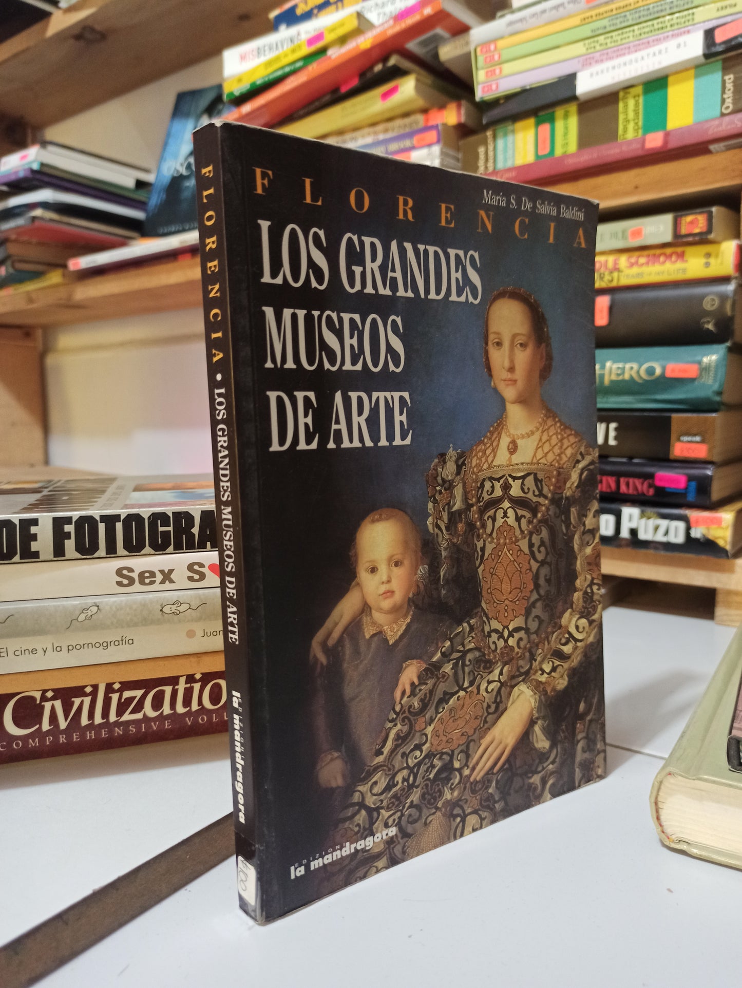 LOS GRANDES MUSEO DE ARTE POR MARIA S. DE SALVIA BALDINI USADO ARTES JUÁREZ