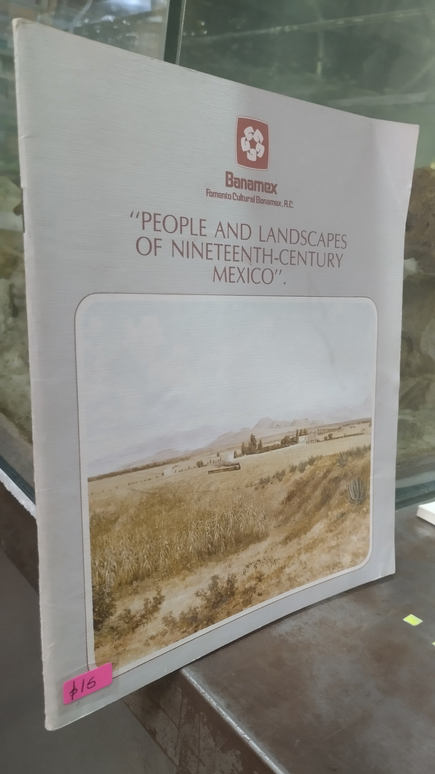PEOPLE AND LANDSCAPES OF NINETEENTH CENTURY MEXICO LIBRO USADO ARTE ALDAMA