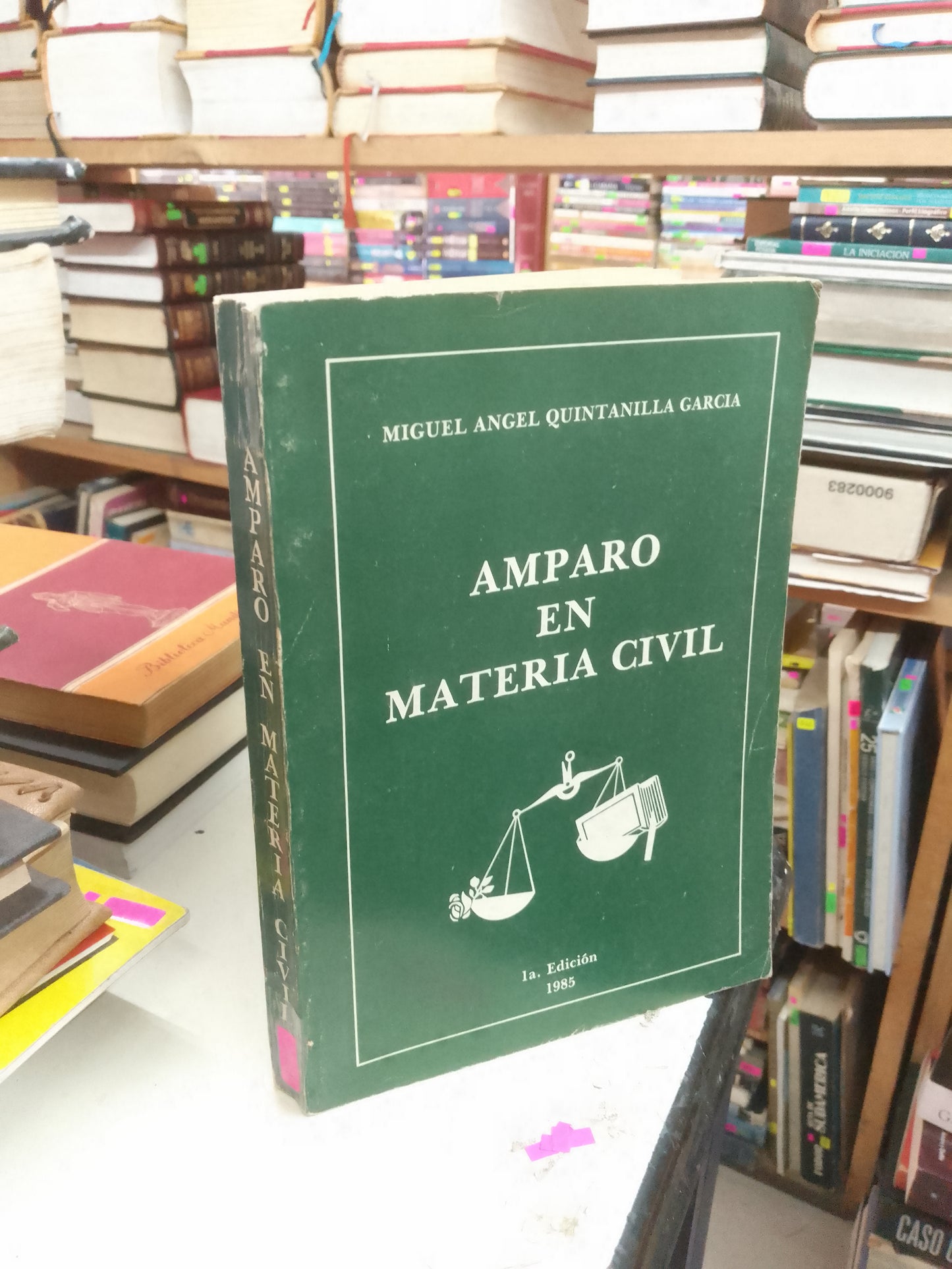 AMPARO EN MATERIA CIVIL POR MIGUEL ÁNGEL QUINTANILLA GARCÍA USADO DERECHO LITERARIO 207