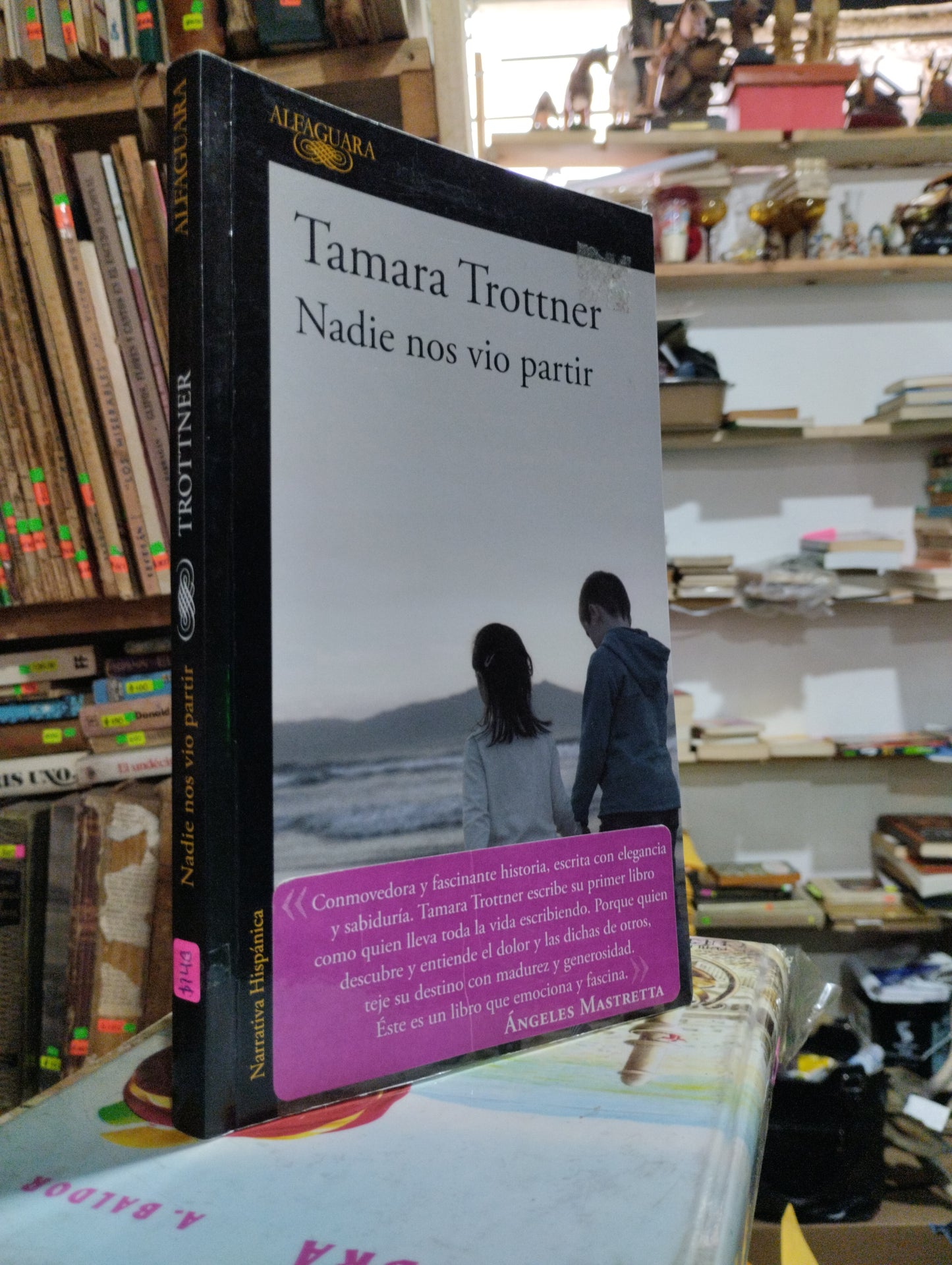 NADIE NOS VIO PARTIR POR TAMARA TROTTNER USADO NOVELAS ALDAMA