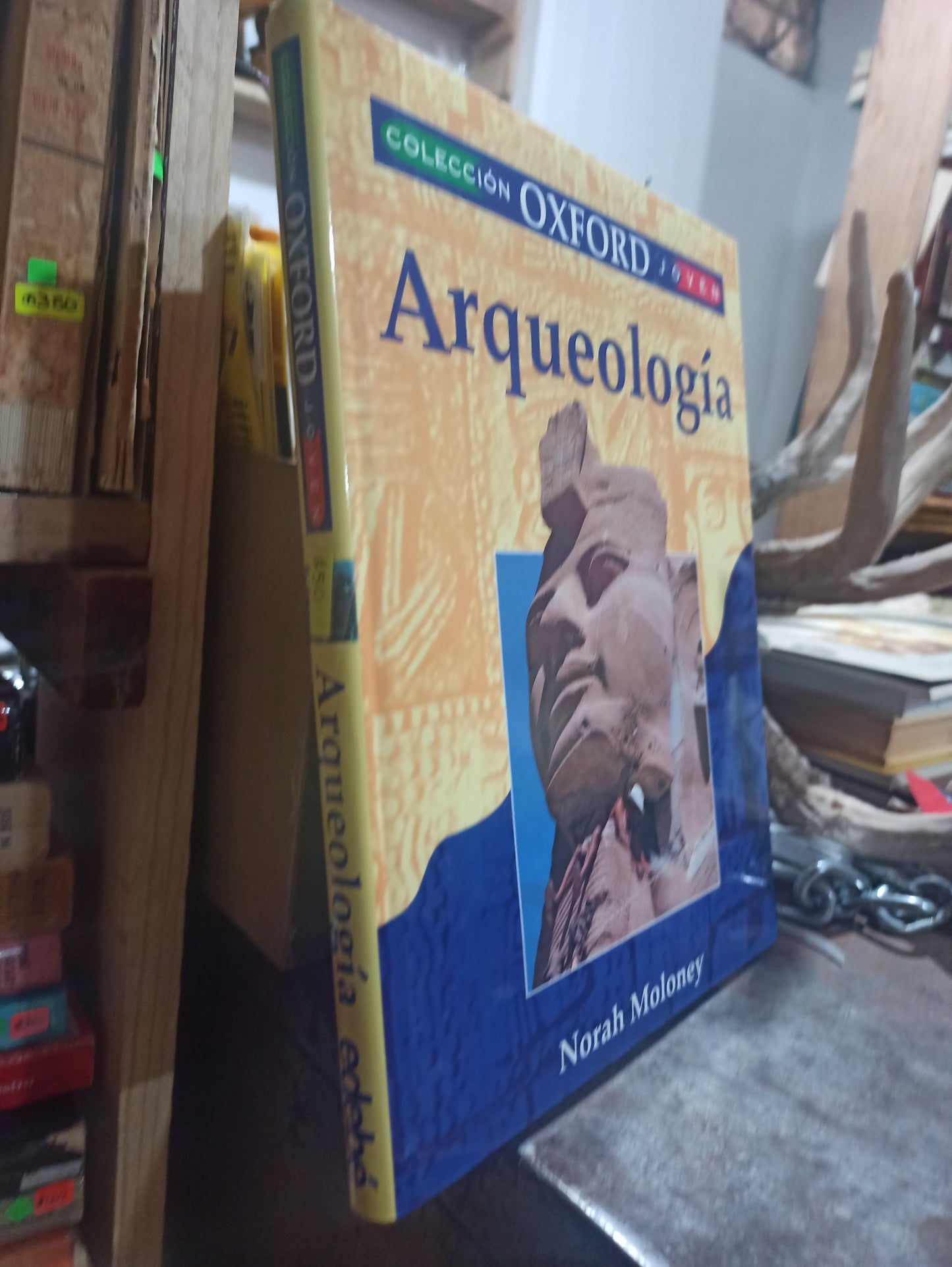 COLECCIÓN OXFORD JOVEN ARQUEOLOGIA POR NORAH MOLONEY USADO HISTORIA ALDAMA