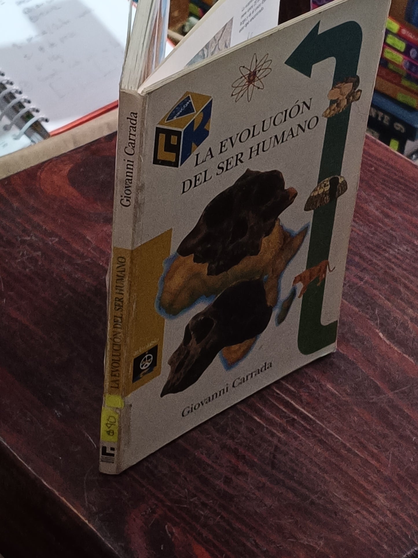 LA EVOLUCION DEL SER HUMANO GIOVANNI CARRADA USADO HISTORIA LITERARIO 305