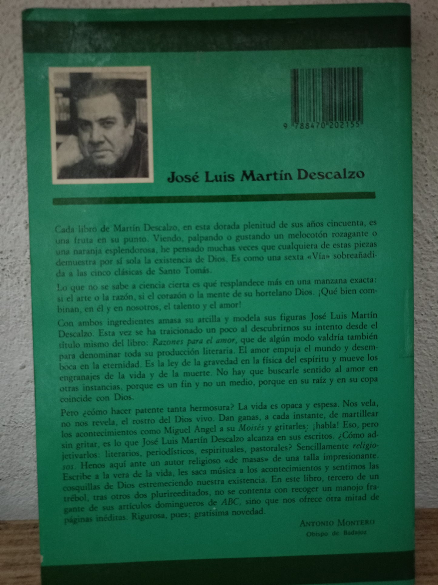 RAZONES PARA EL AMOR JOSE LUIS MARTIN DESCALZO USADO NOVELA LITERARIO 305