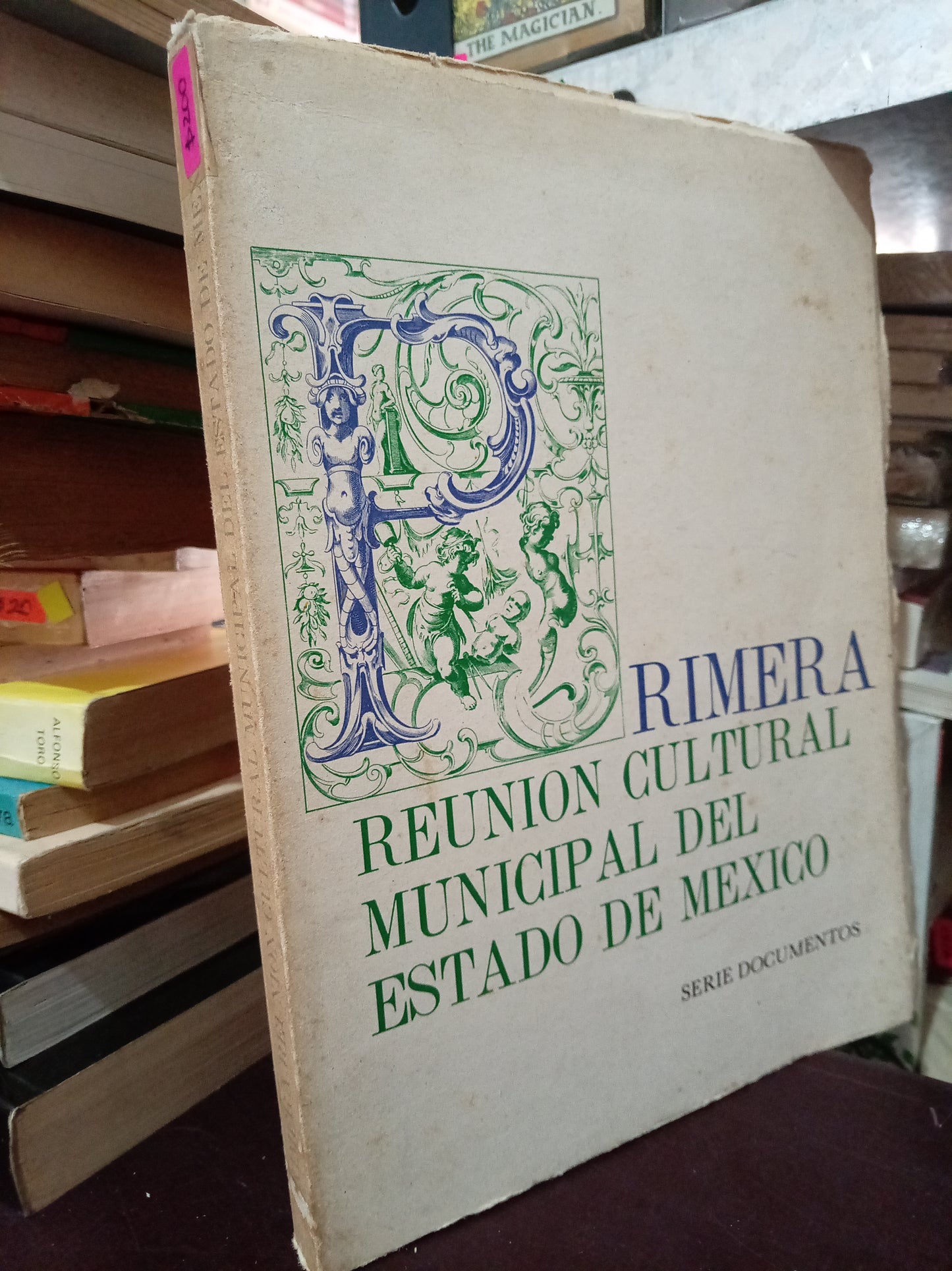 PRIMERA REUNION CULTURAL MUNICIPAL DEL ESTADO DE MEXICO USADO HISTORIA LITERARIO 305