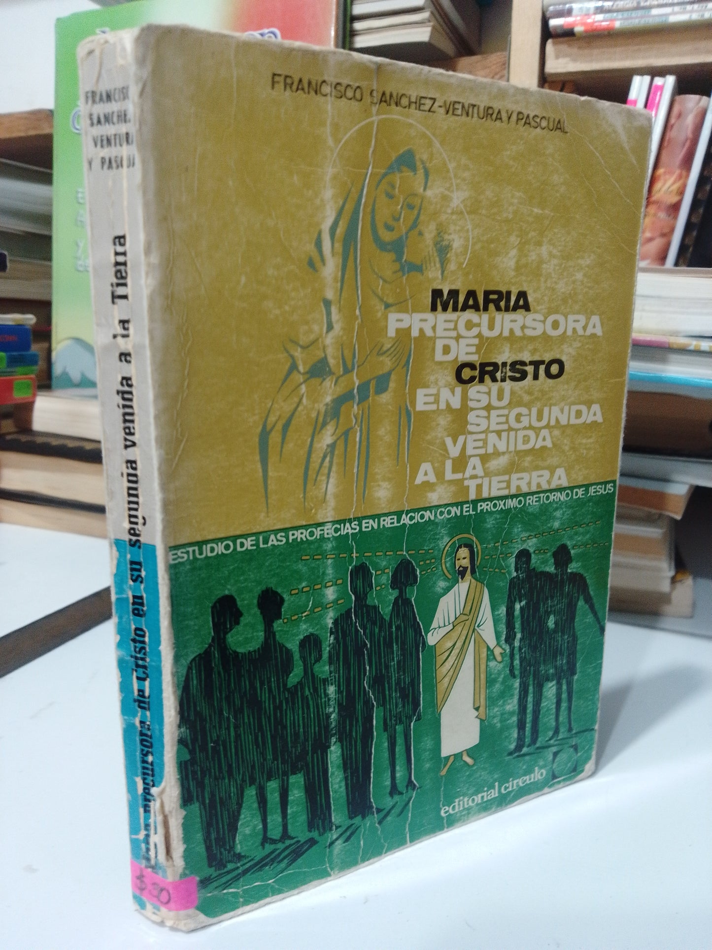 MARIA PERSECUSORA DE CRISTO EN SU SEGUNDA VENIDA A LA TIERRA USADO RELIGION JUAREZ