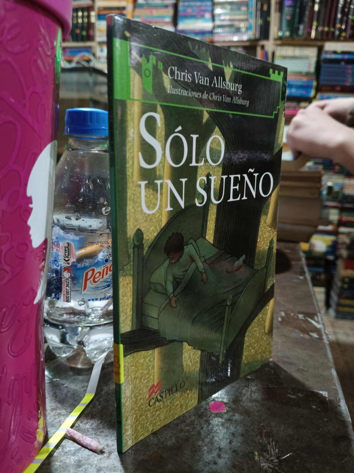 SOLO UN SUEÑO POR CHRIS VAN ALLSBURG USADO INFANTIL ALDAMA