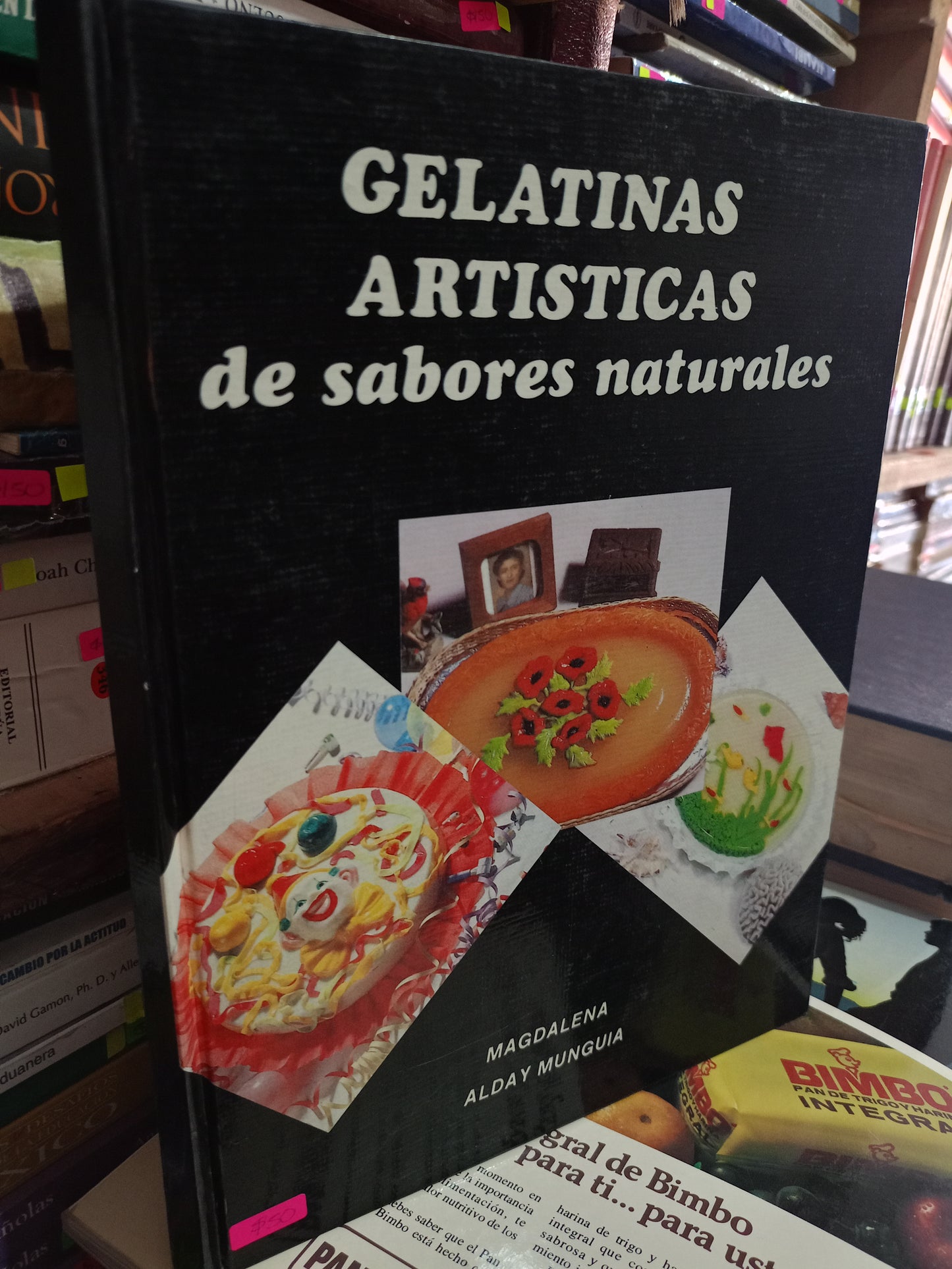 GELATINAS ARTISTICAS DE SABORES NATURALES POR MAGDALENA ALDAY MUNGUIA USADO COCINA LITERARIO 305