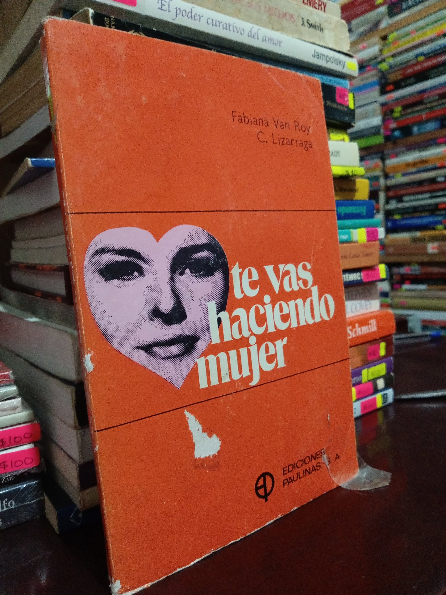 TE VAS HACIENDO MUJER FABIANA VAN ROY C. LIZARRAGA USADO S.PERSONAL LITERARIO #305