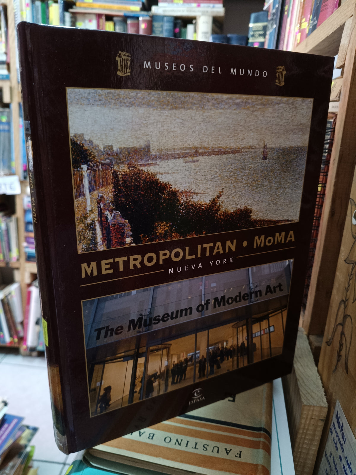 METROPOLITAN MOMA NUEVA YORK MUSEOS DEL MUNDO USADO ARTE LITERARIO 305